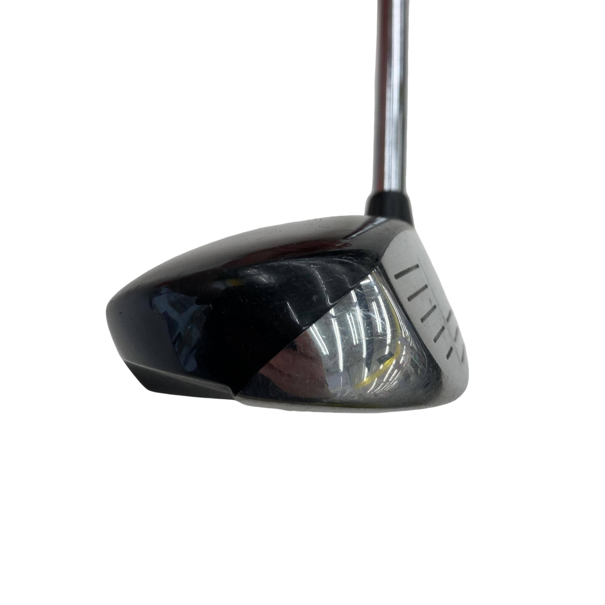 �w�@���[�e�B���e�B�@�R�g�@�t�r�`