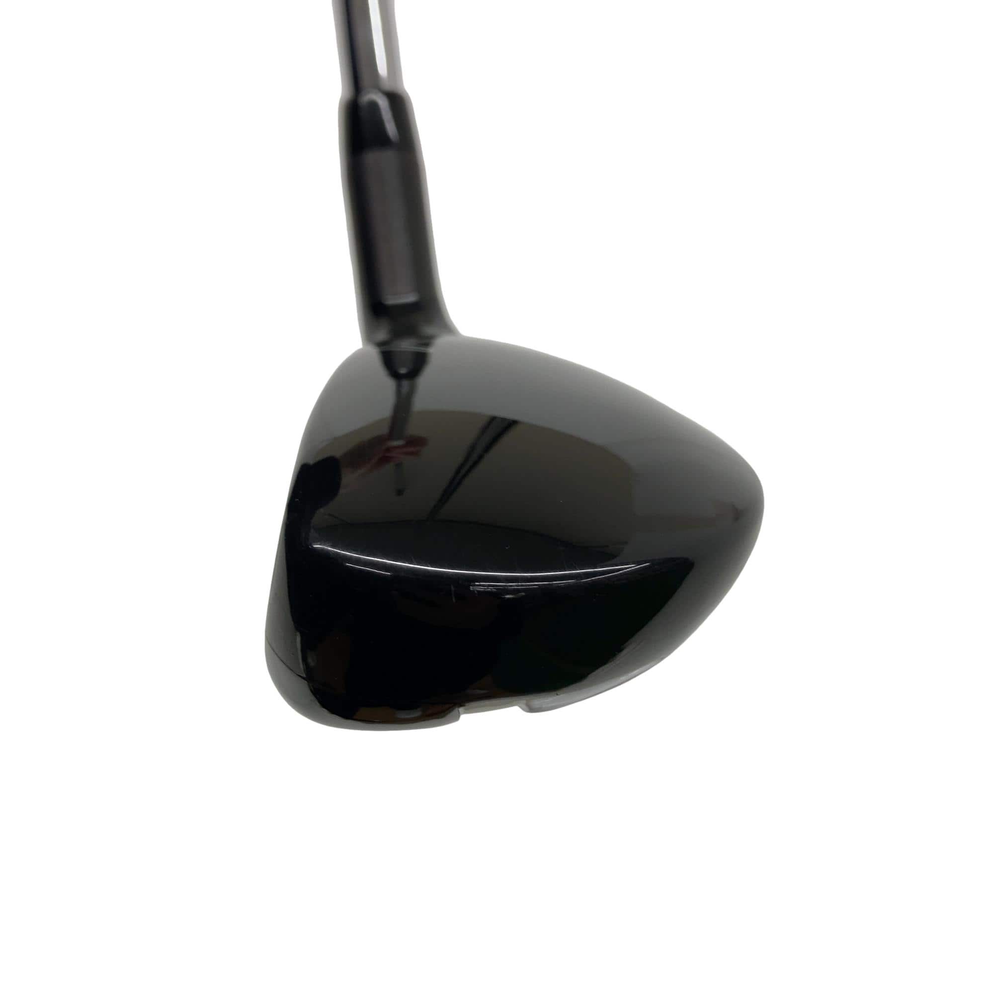 �w�Q�@�g�n�s�@�t�S�@���t�e�B