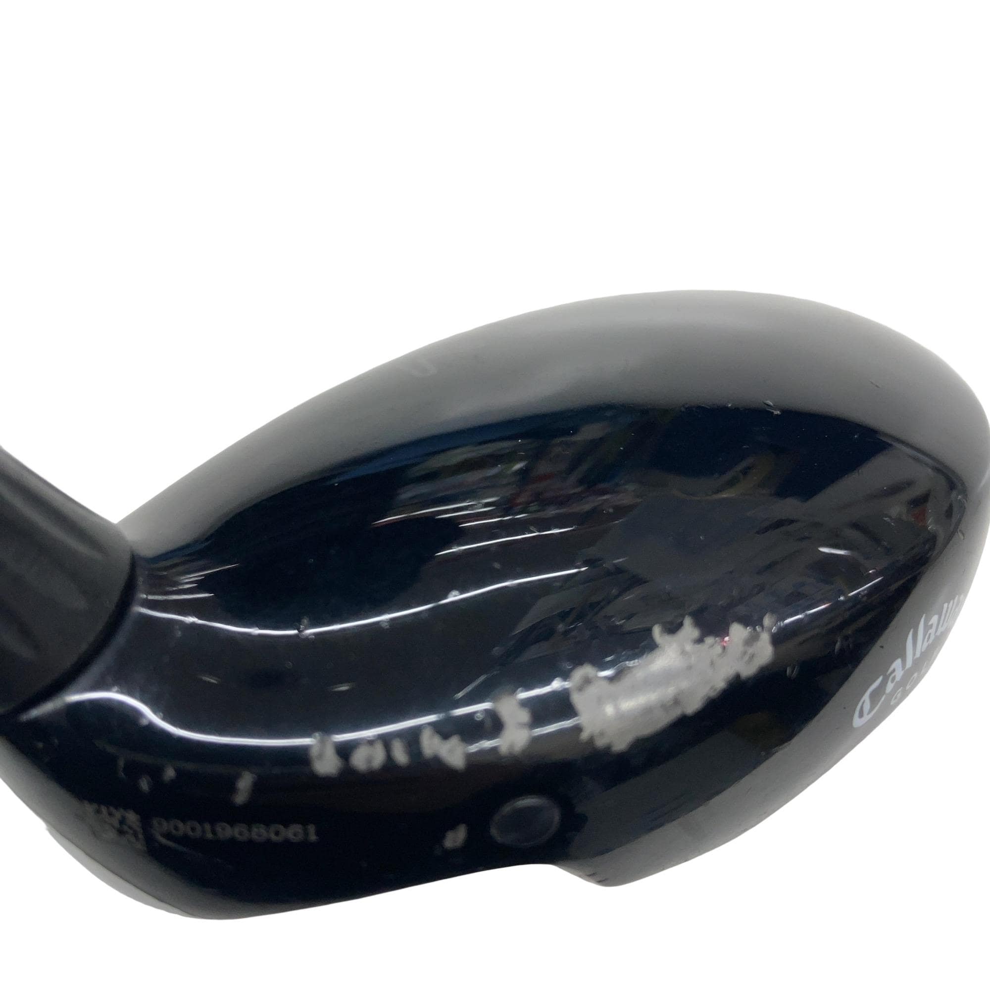 �w�@���[�e�B���e�B�@�R�g�@�t�r�`