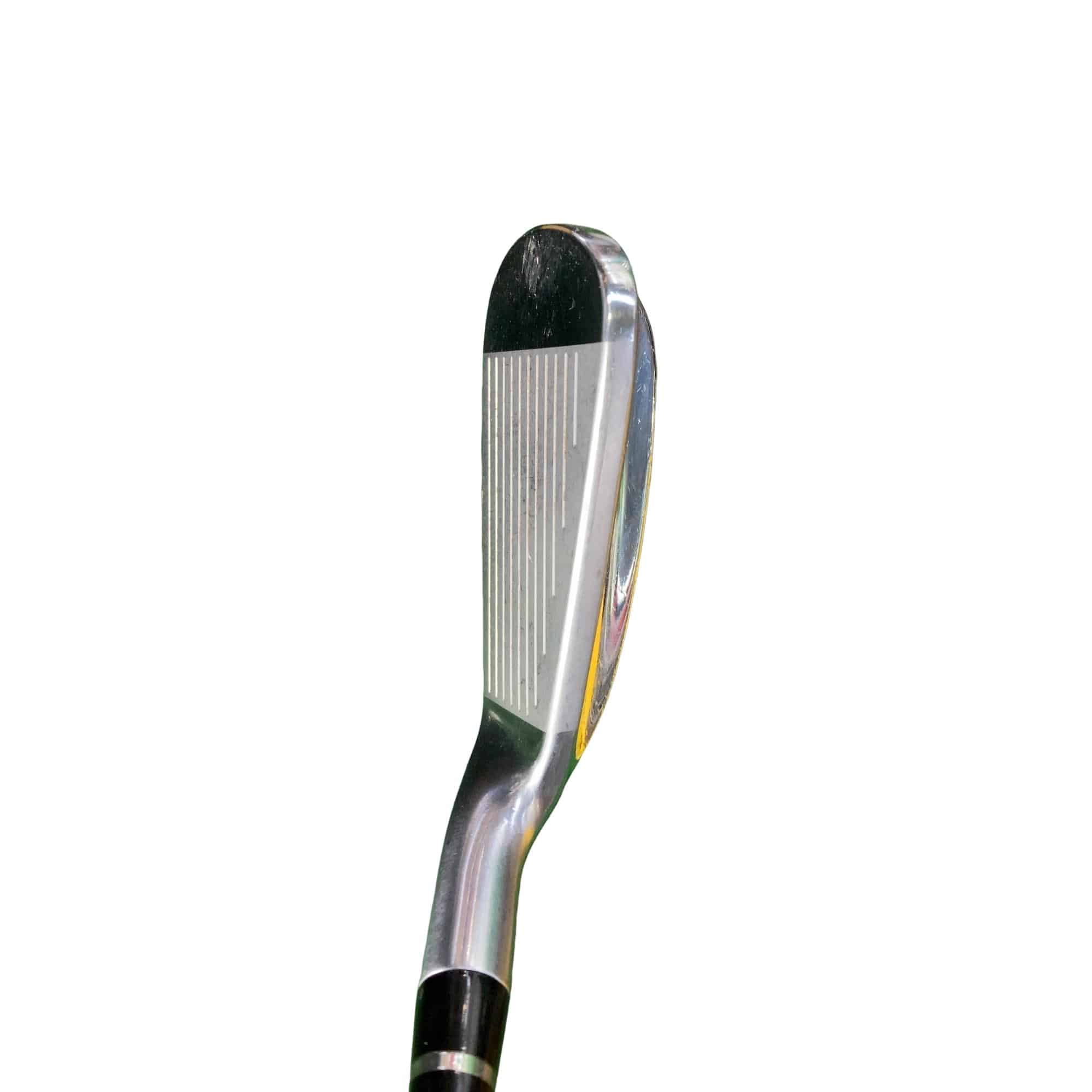 �������������@�t�c�{�Q�@�S�r�i���{���F�S�{�Z�b�g�j