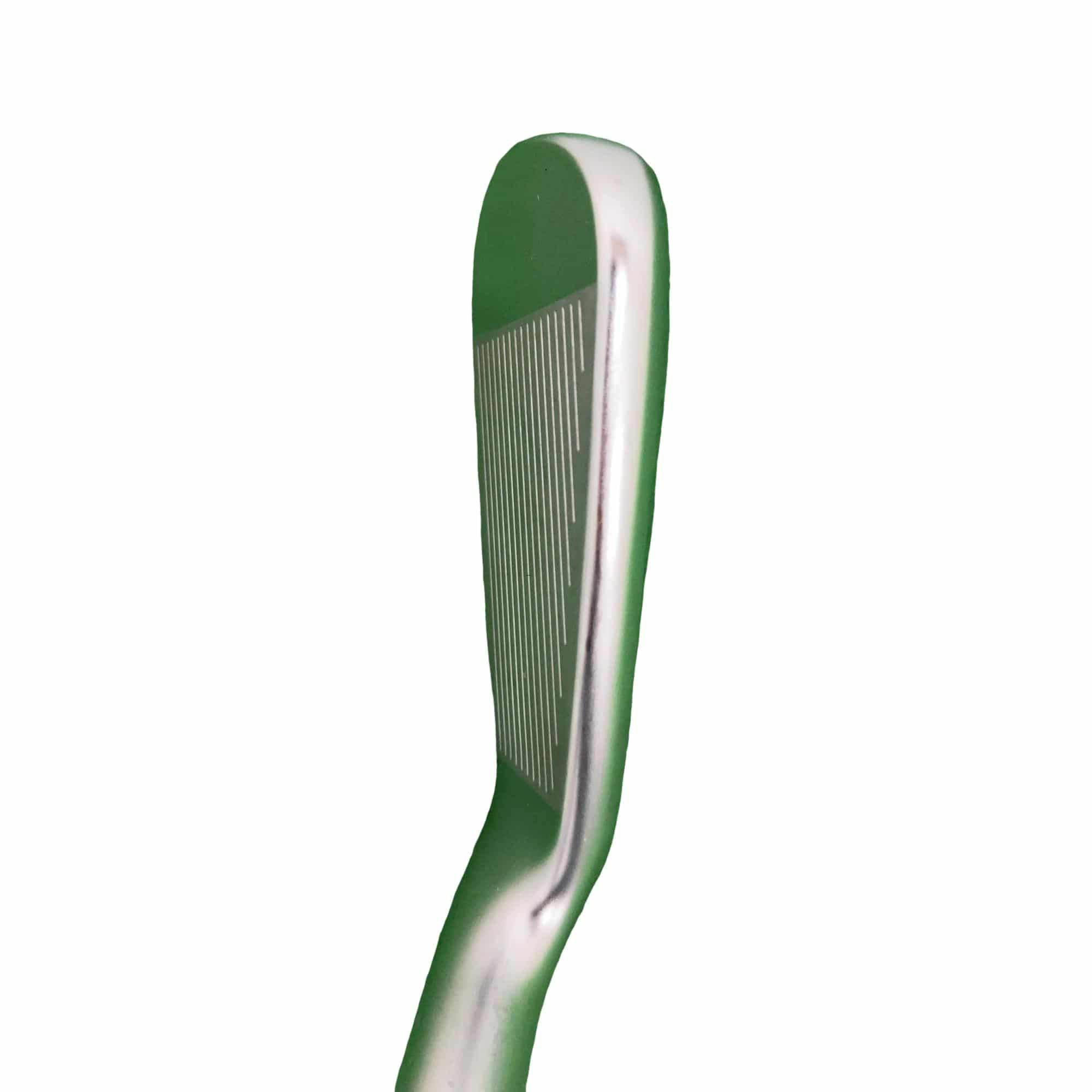 ���T�R�O�@�T�r�i���{���F�T�{�Z�b�g�j