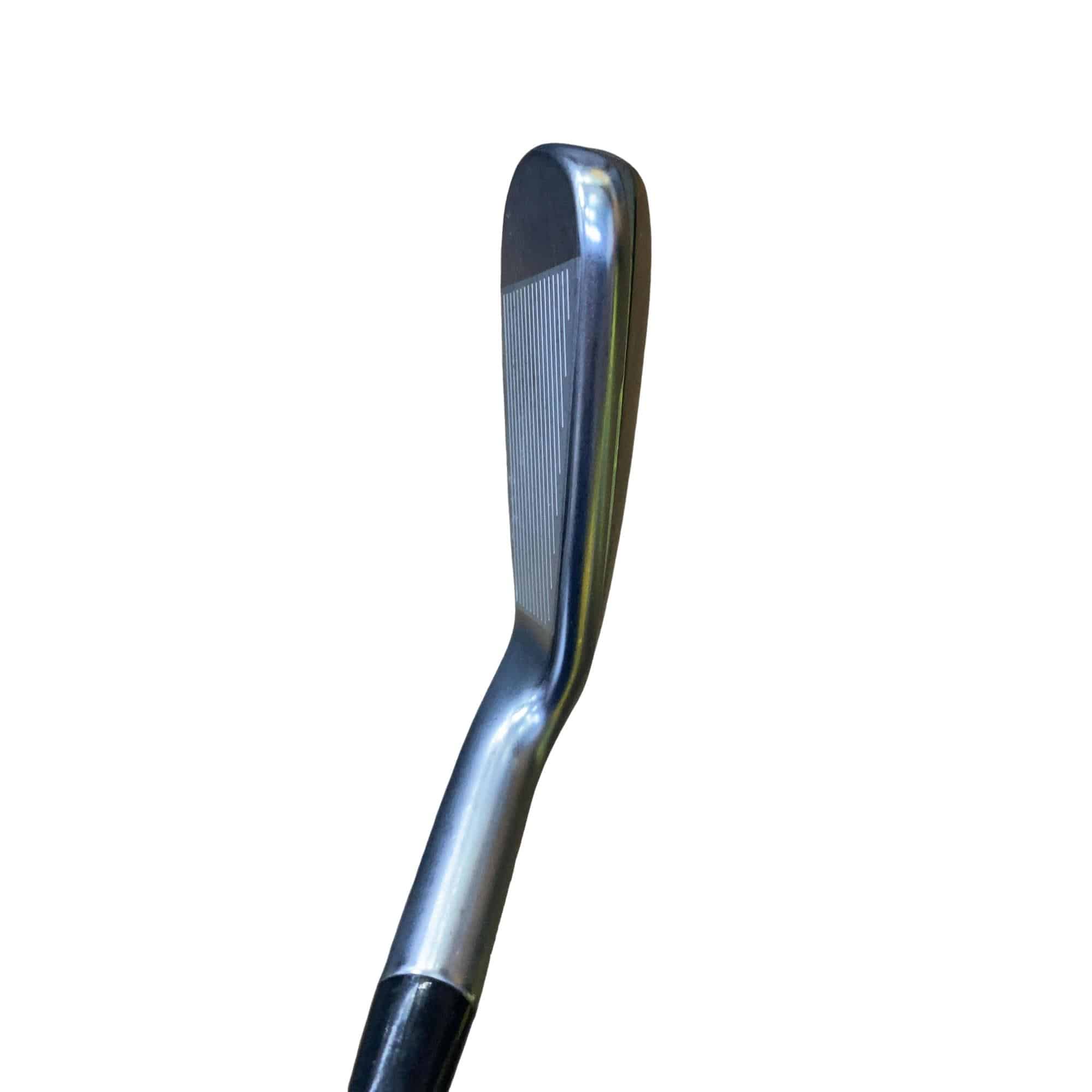 ���T�R�O�@�T�r�i���{���F�T�{�Z�b�g�j