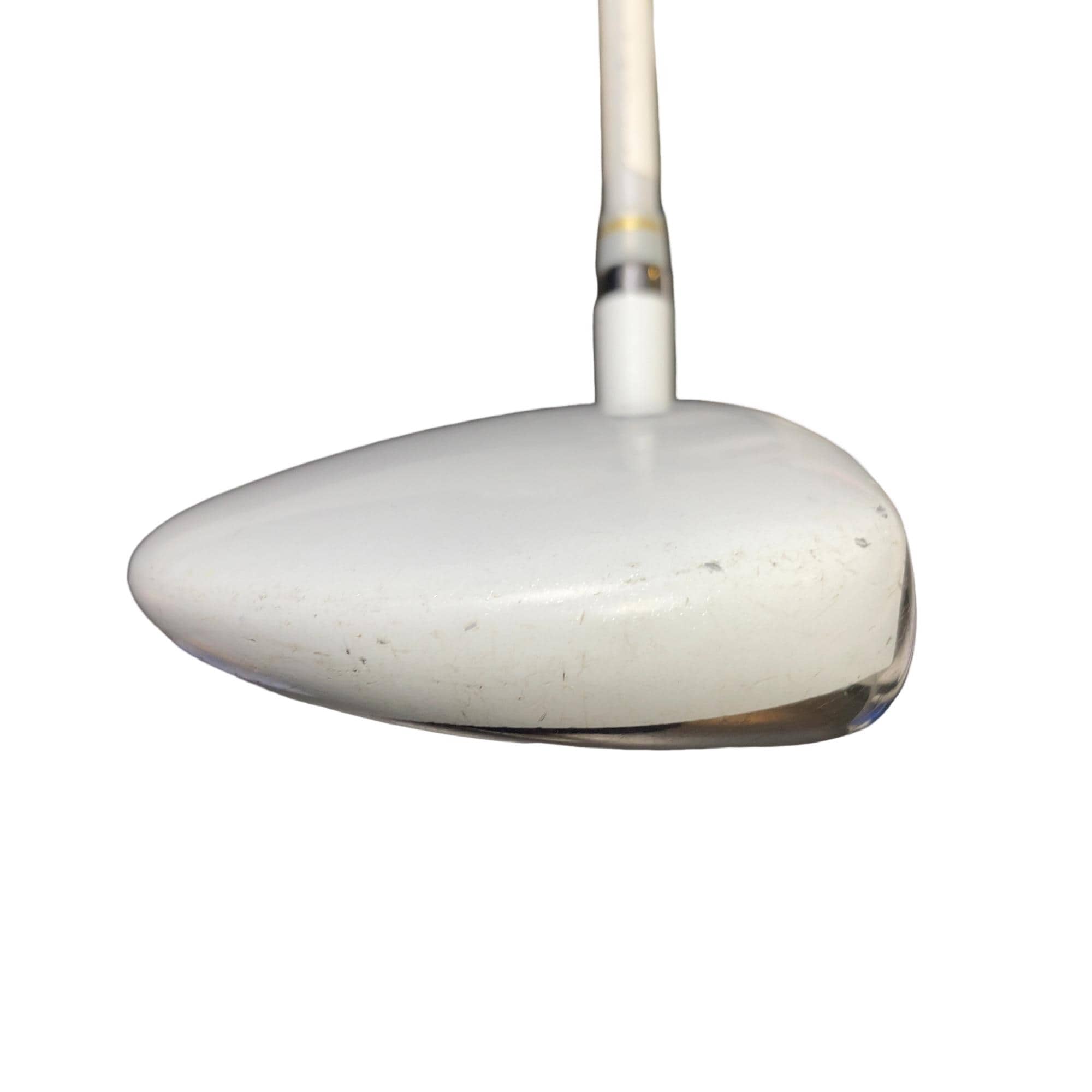 �����������i�Q�O�P�T�j�@�S�v�@���f�B�[�X