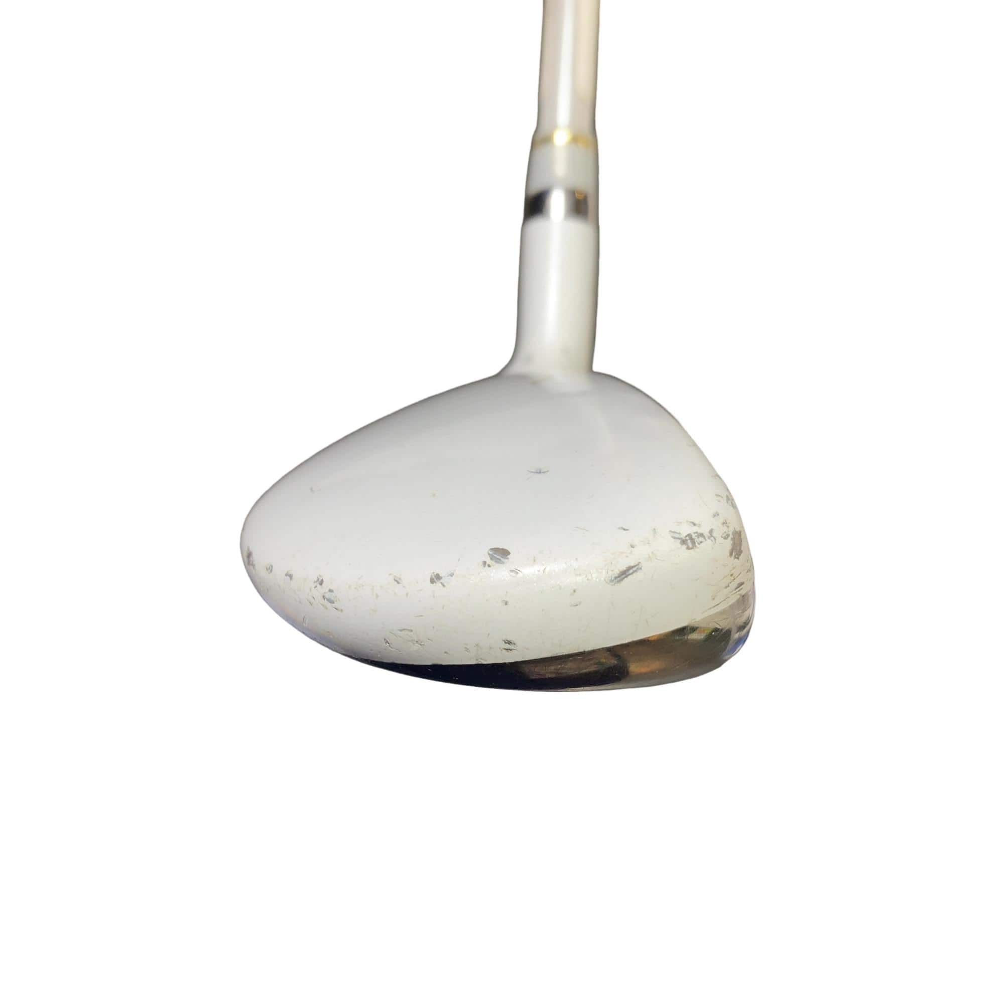 �����������i�Q�O�P�T�j�@�T�g�@���f�B�[�X