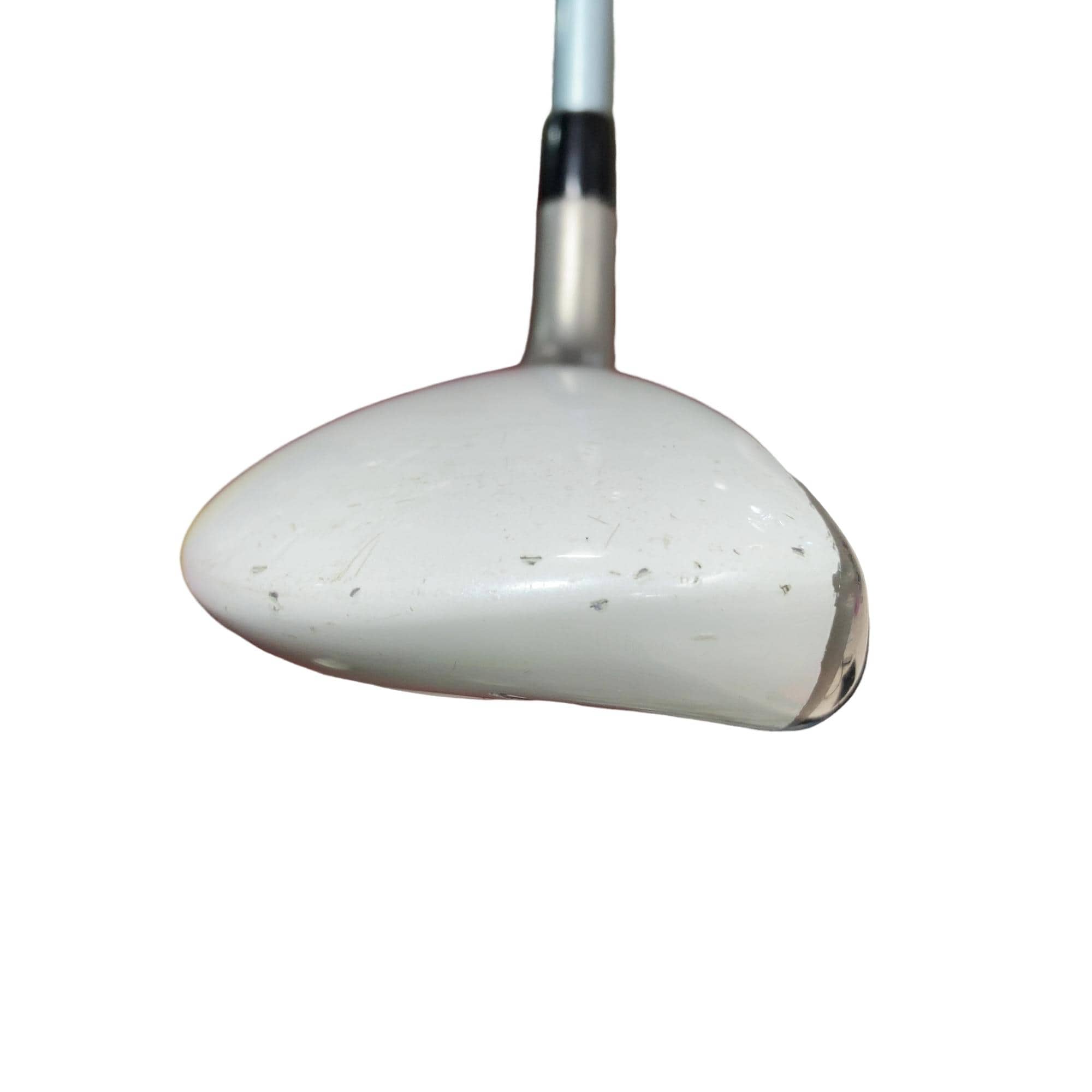 �a�q�|�w�@�t�U�@���f�B�[�X