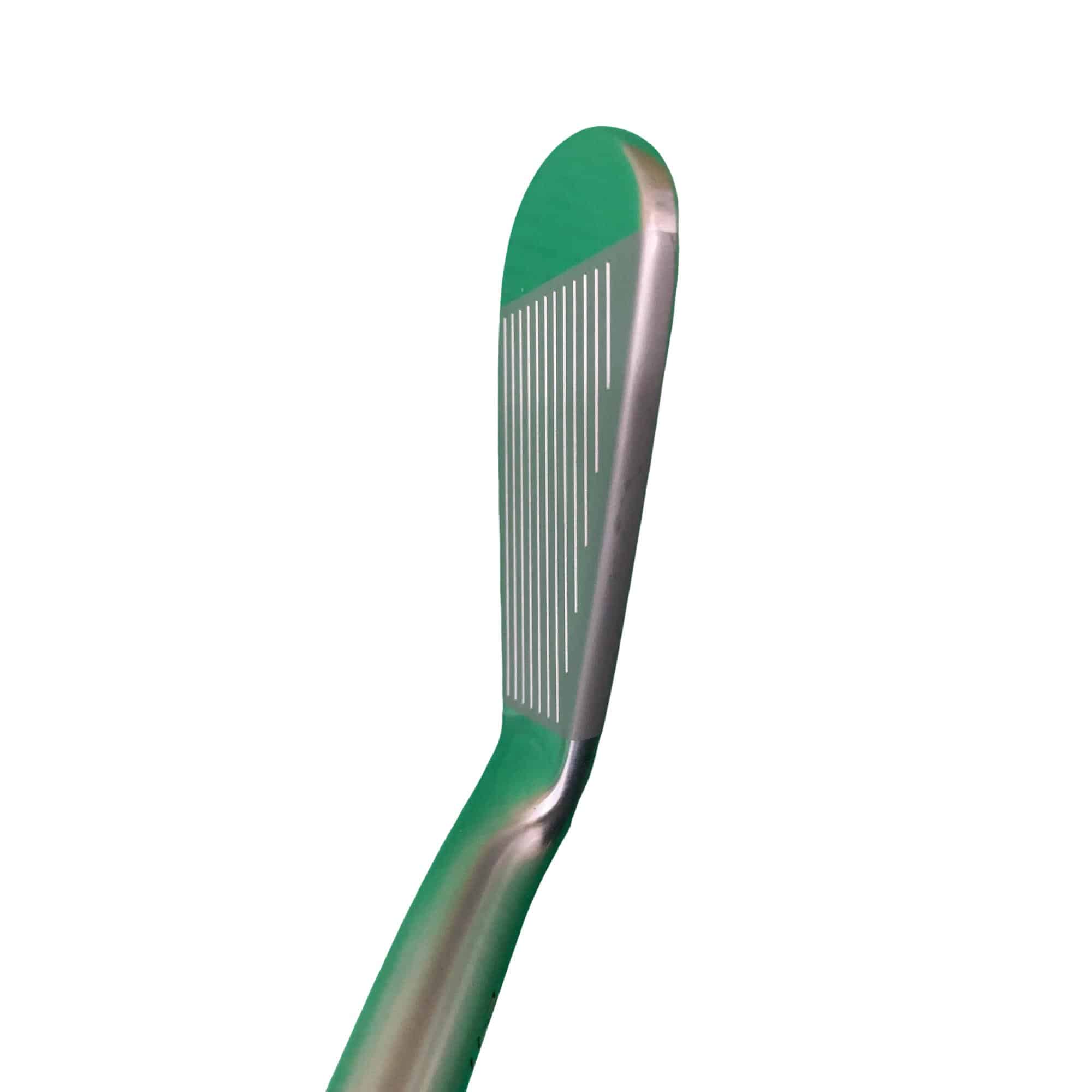 �l�����������@�o�����@�Q�S�P�@�U�r�i���{���F�U�{�Z�b�g�j