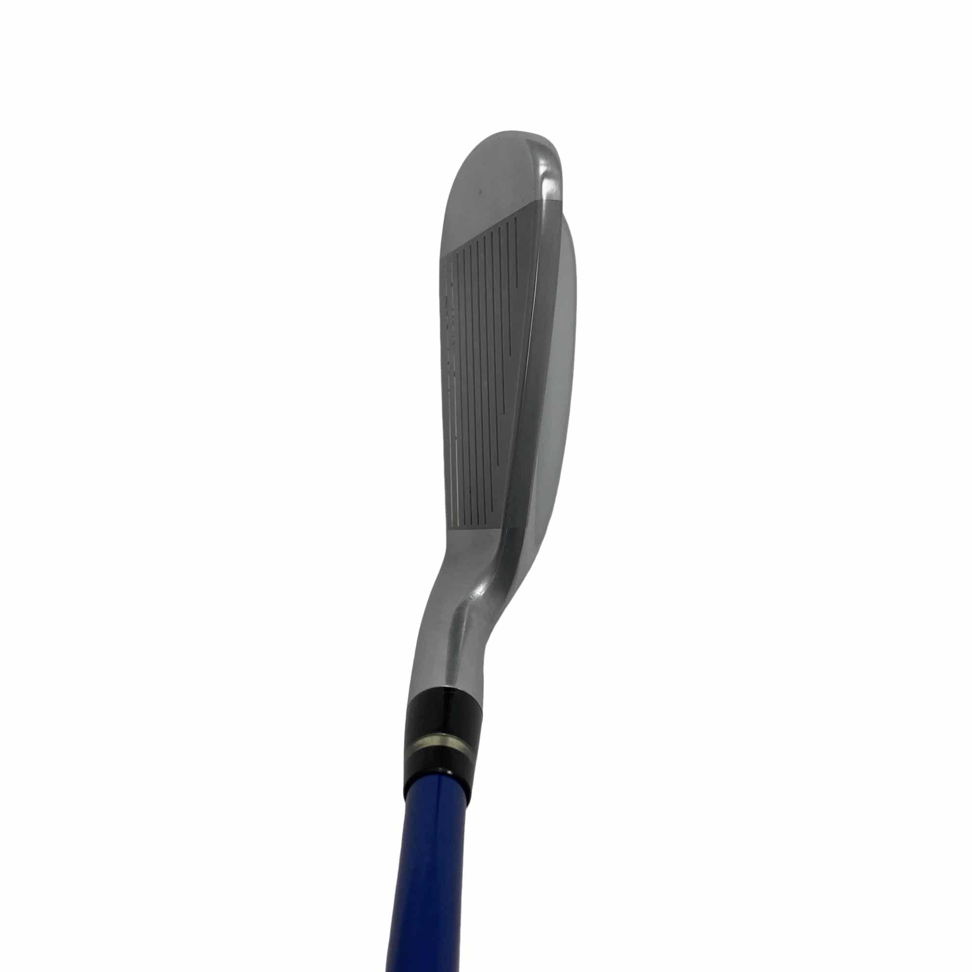 �������������@�t�c�{�Q�@�S�r�i���{���F�S�{�Z�b�g�j