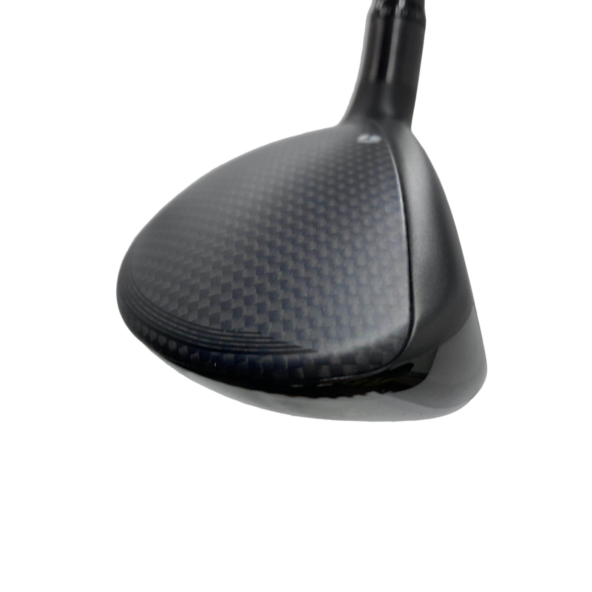 �p���R�T�@�t�T