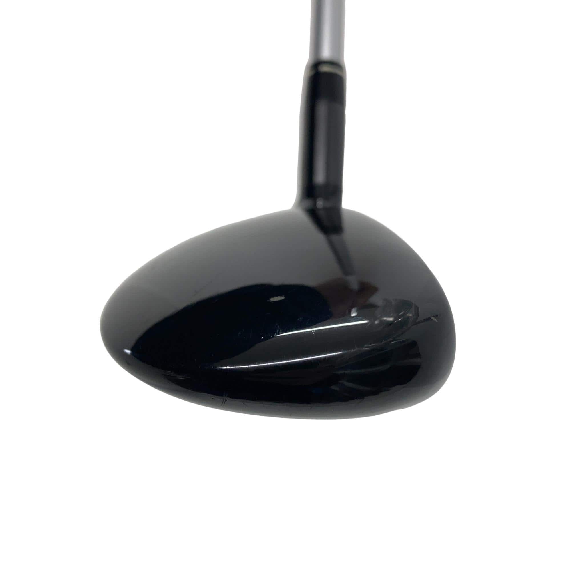 �w�@�g�n�s�@�t�R