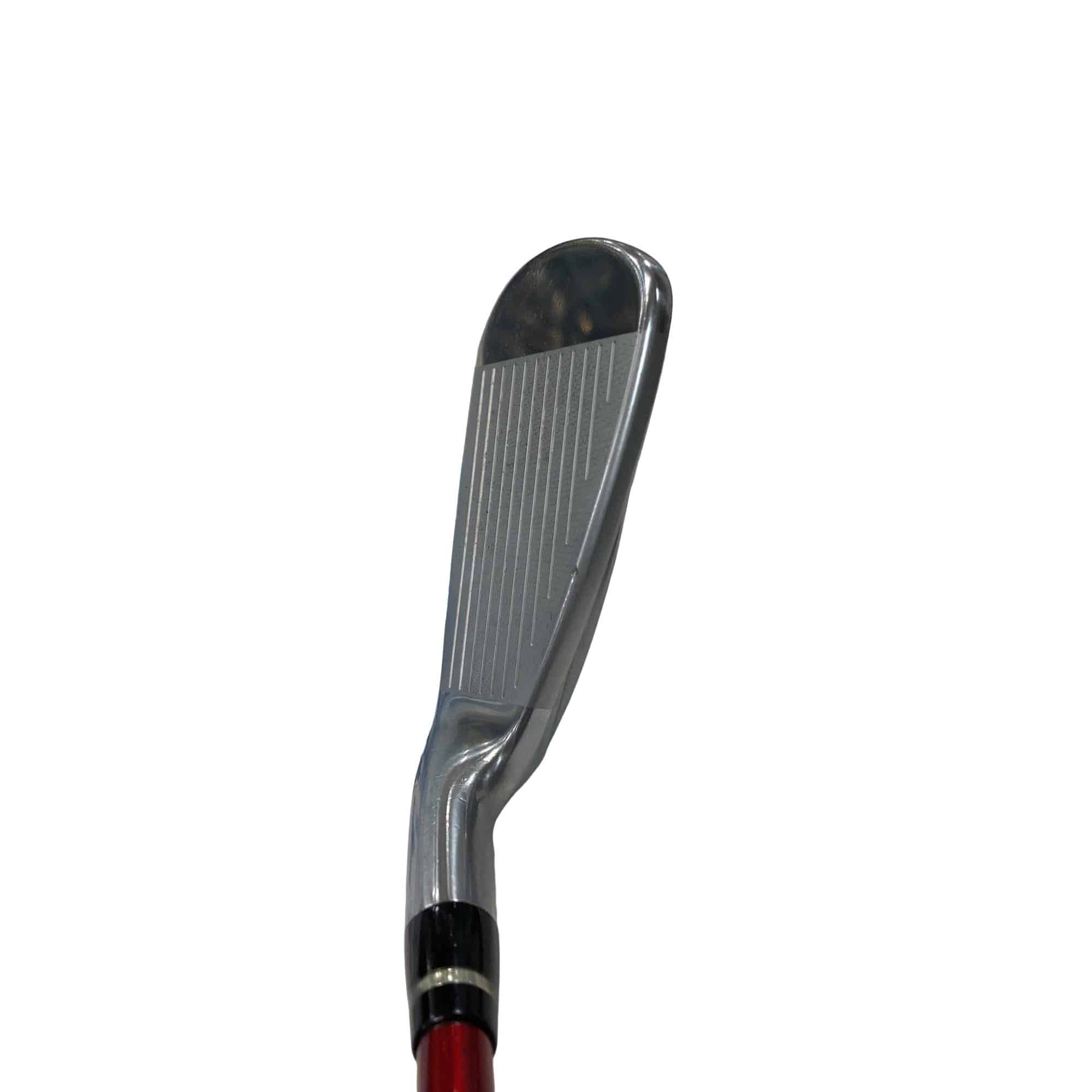 �������������@�q�l�w�@�t�c�{�Q�@�V�r�i���{���F�T�{�Z�b�g�j