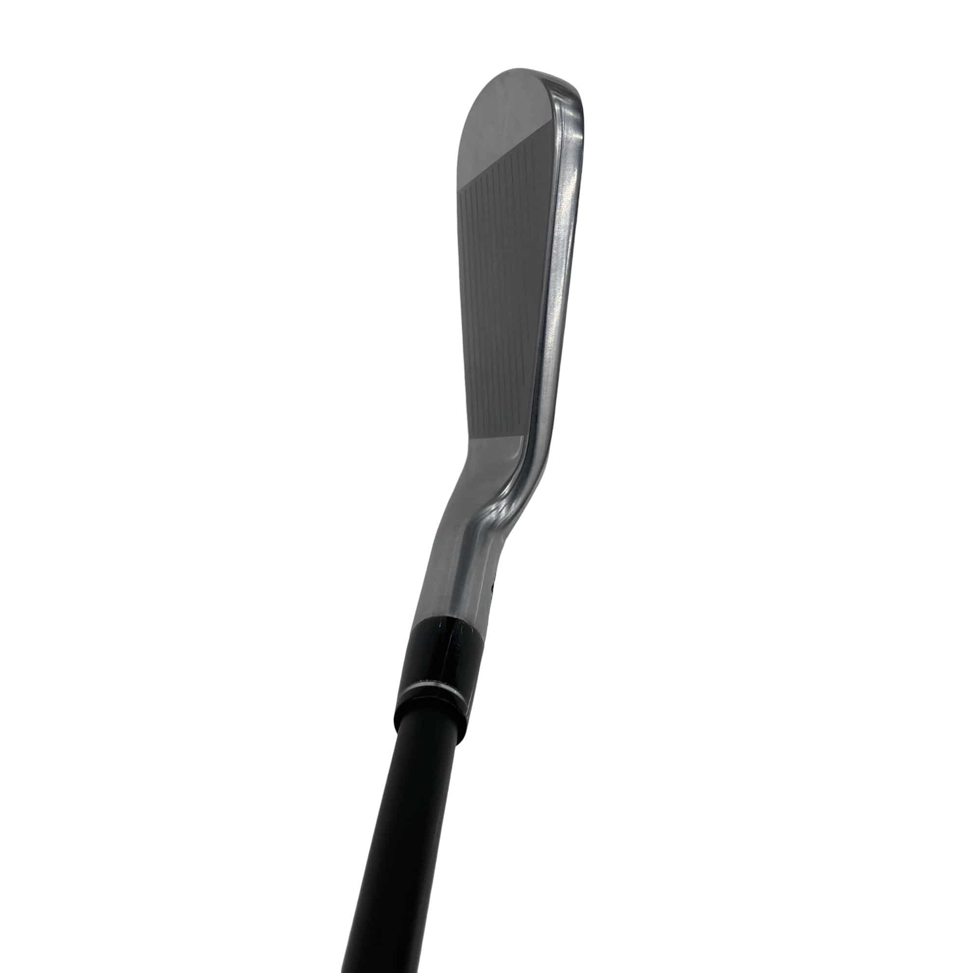 �s�n�t�q�@�v�n�q�k�c�@�o���@�T�r�i���{���F�T�{�Z�b�g�j