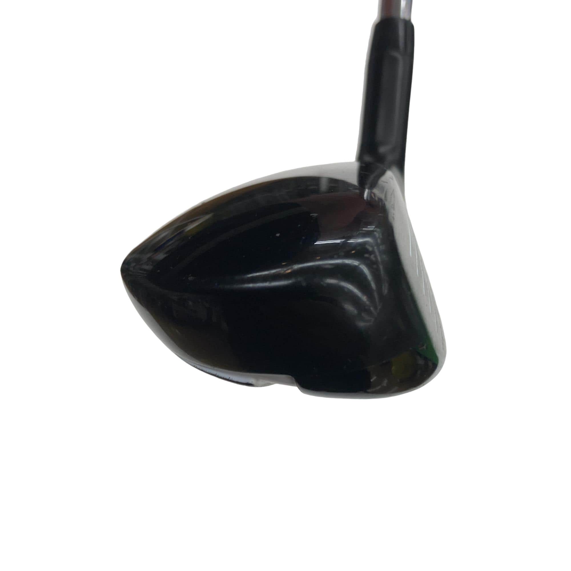 �w�Q�@�g�n�s�@�t�T