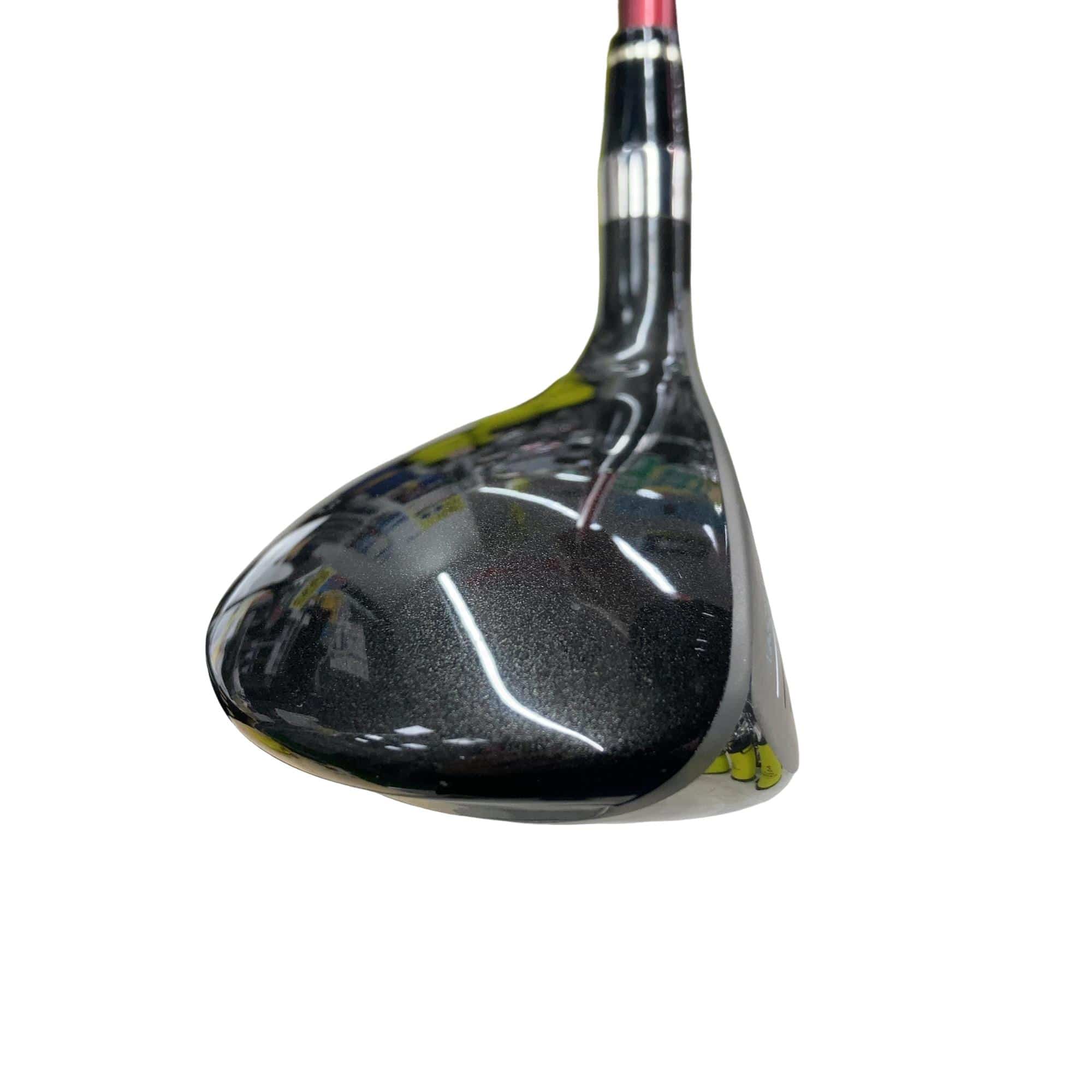 �u�q�Q�r�@���[�e�B���e�B�@�t�Q