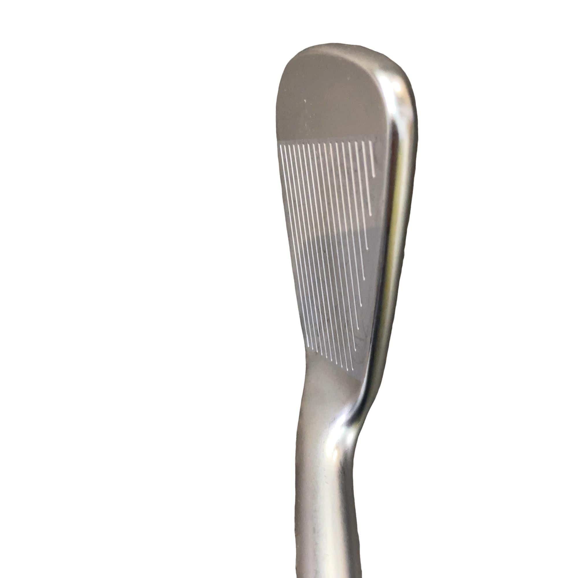 ���T�R�O�@�T�r�i���{���F�T�{�Z�b�g�j