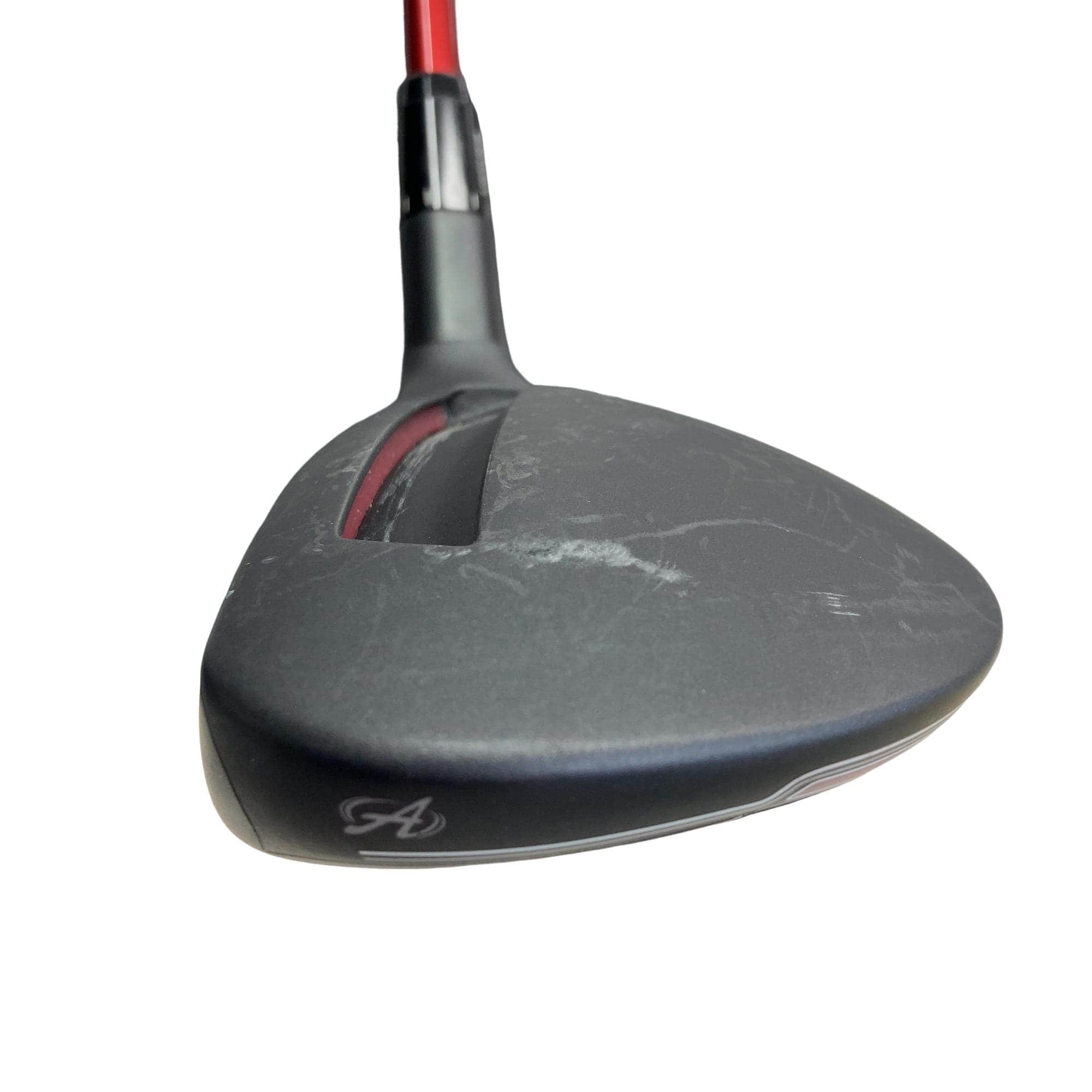 �`���������@�w�s�c�@�����@�P�W°�@���t�e�B