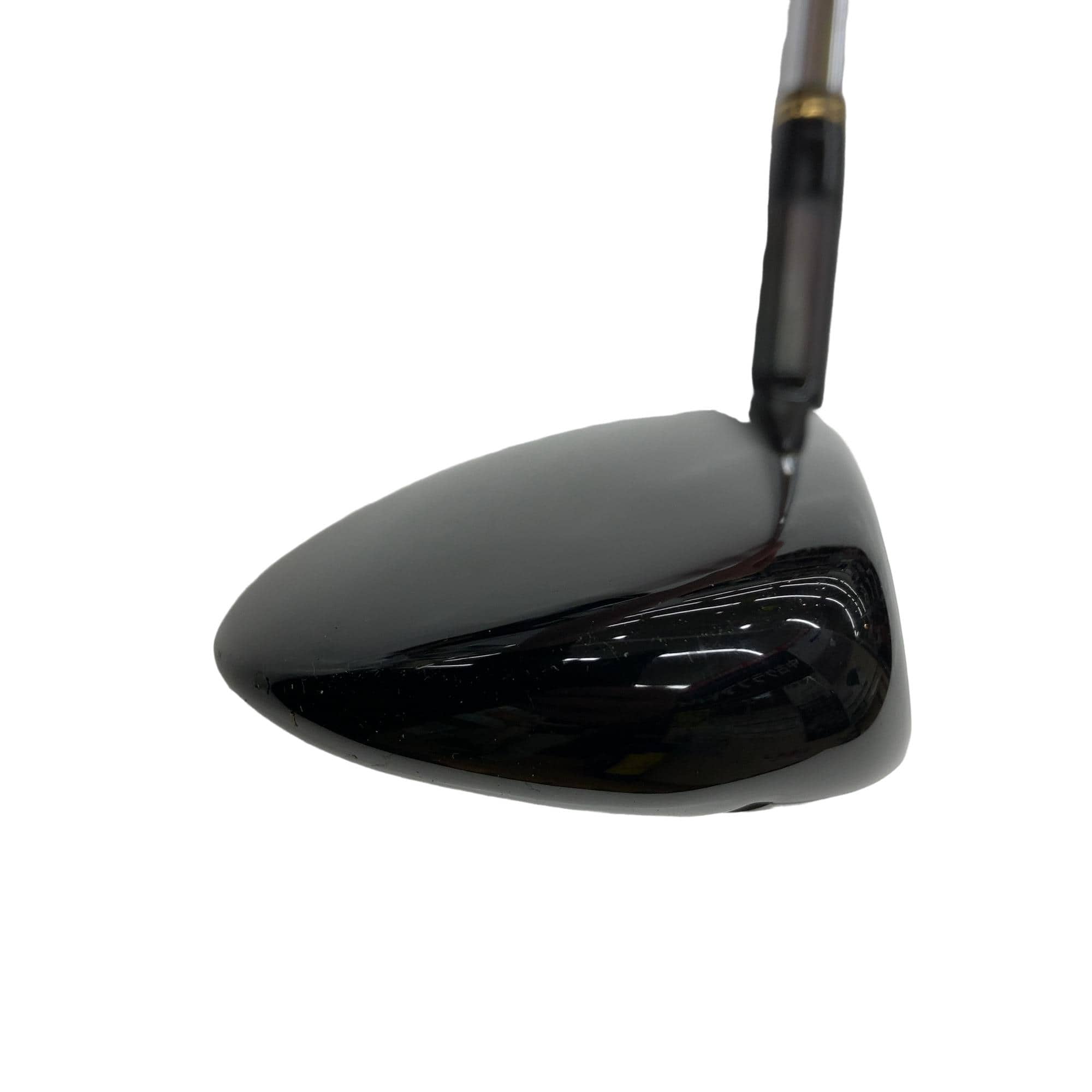 �w�@�g�n�s�@�t�R