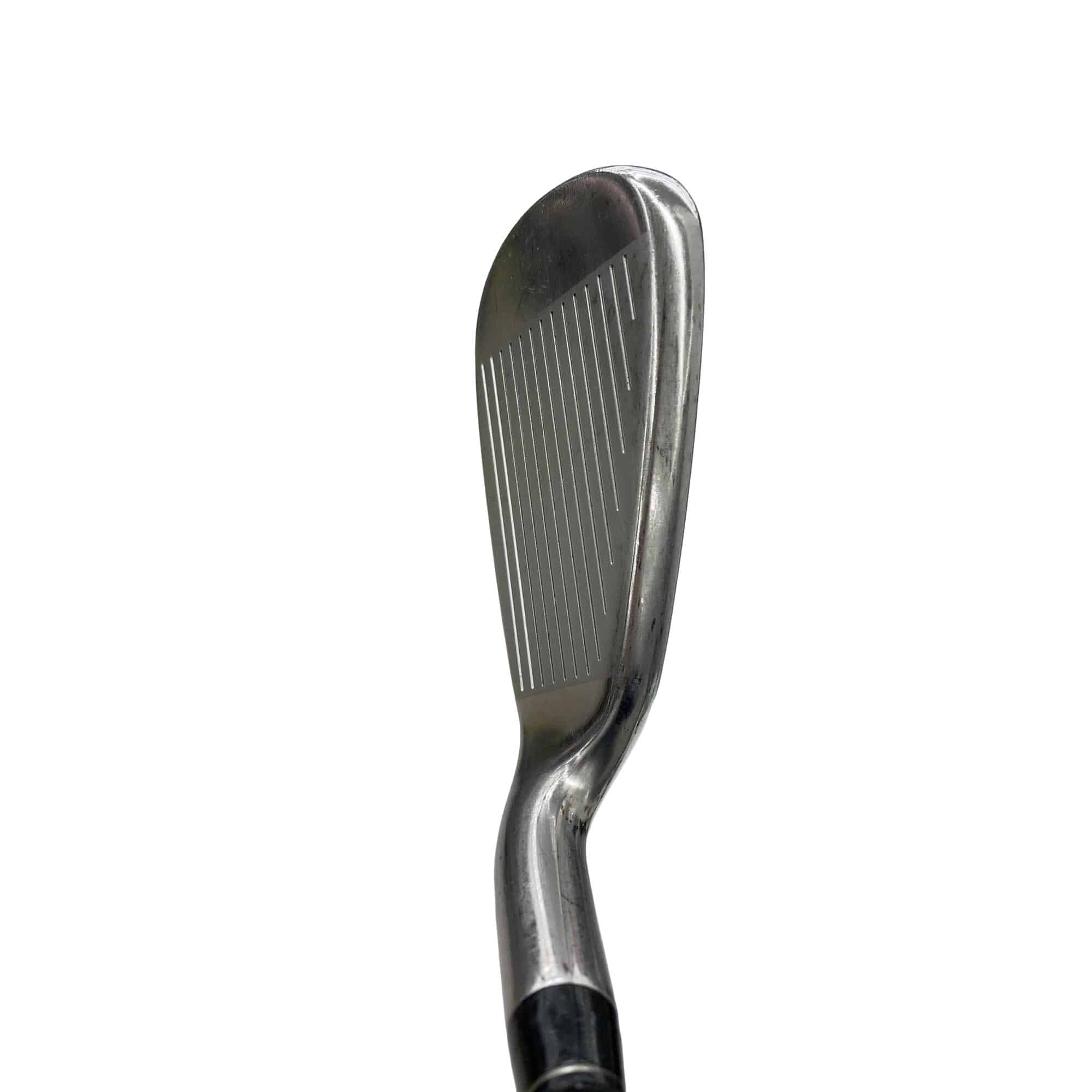 ���T�@�w�k�@�o�k�t�r�@�U�r�i���{���F�U�{�Z�b�g�j