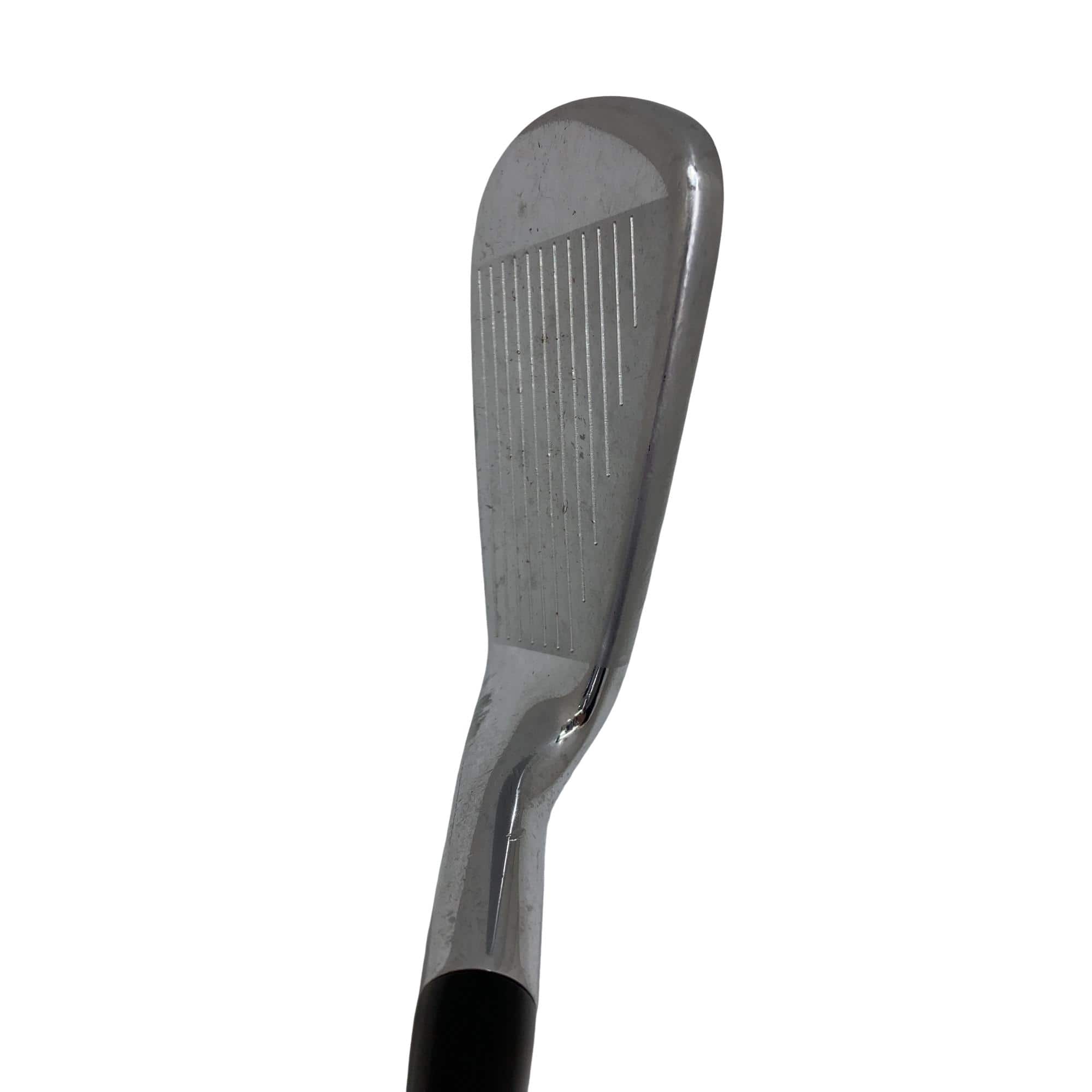 �s���������������@�`�o�Q�@�U�r�i���{���F�U�{�Z�b�g�j