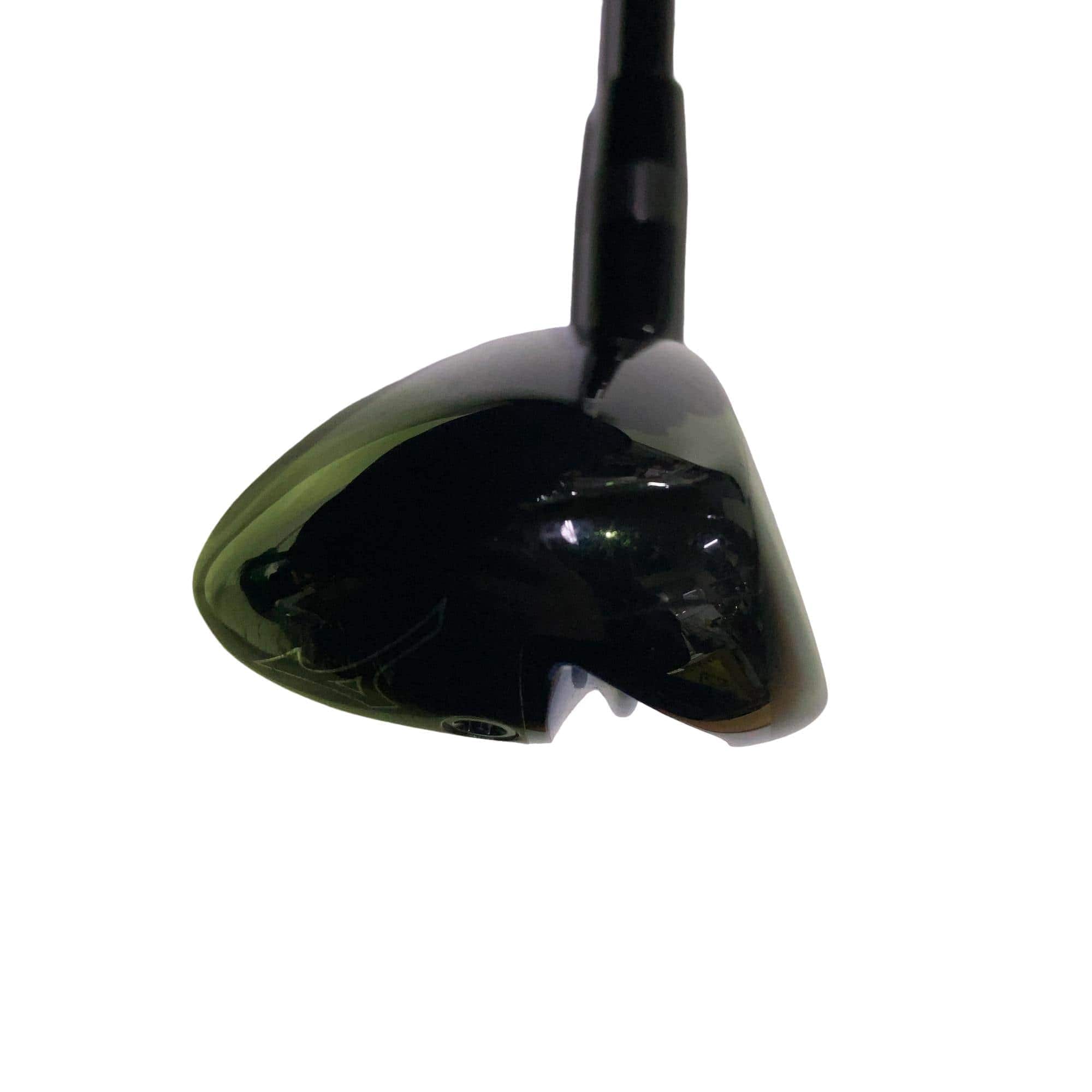 �l�����������@�o�����i�Q�O�P�X�j�@�t�T