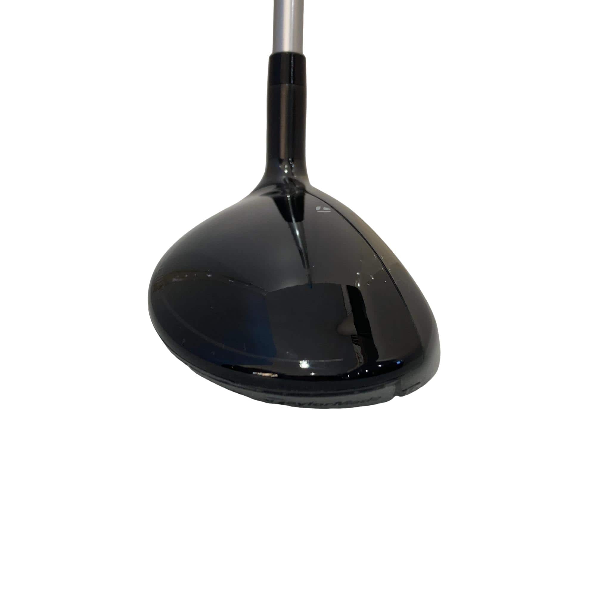 �p���P�O�@�l�`�w�@�t�U�@���f�B�[�X