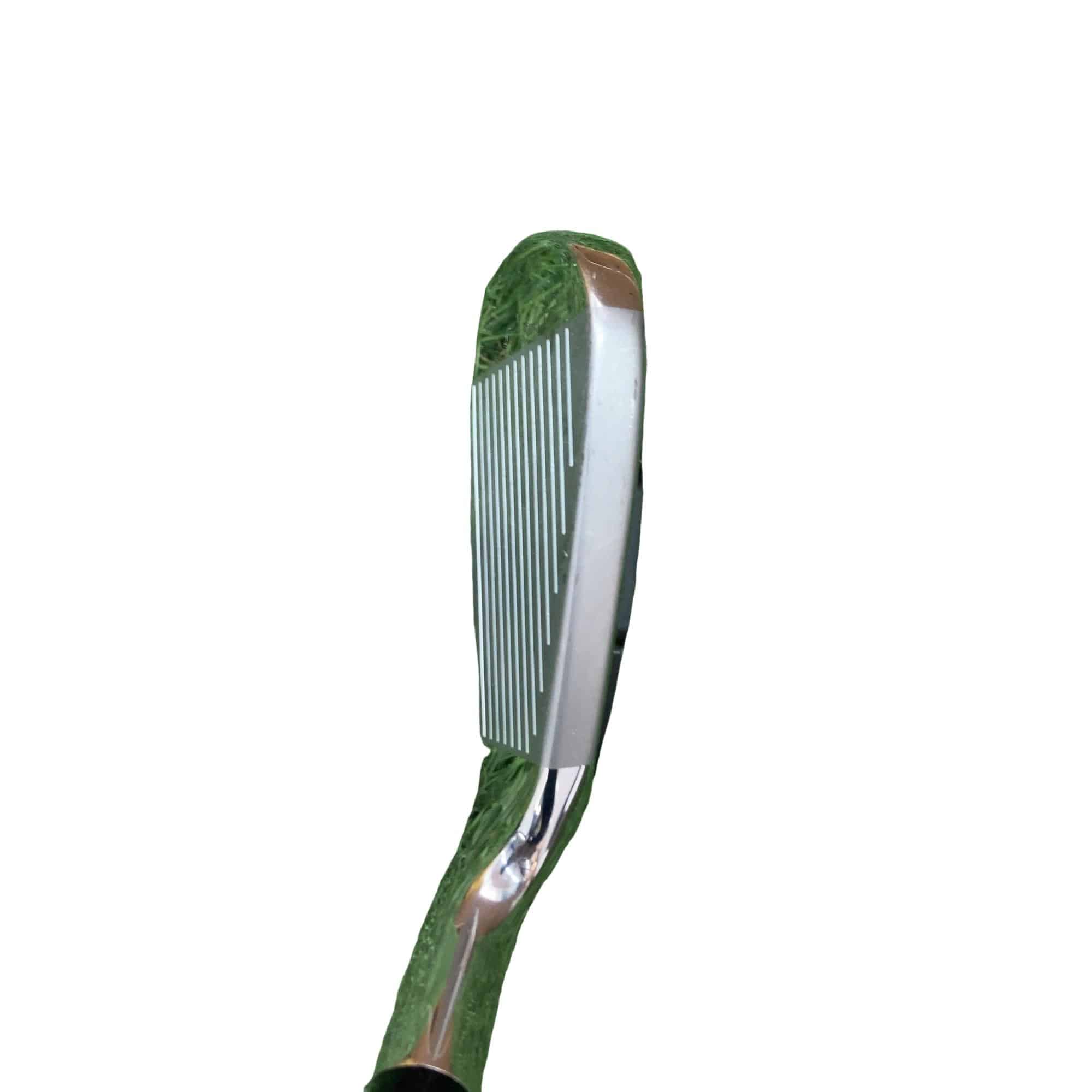 �u�q�Q�r�@�A�C�A���@�@�T�r�@���f�B�[�X�i���{���F�T�{�Z�b�g�j