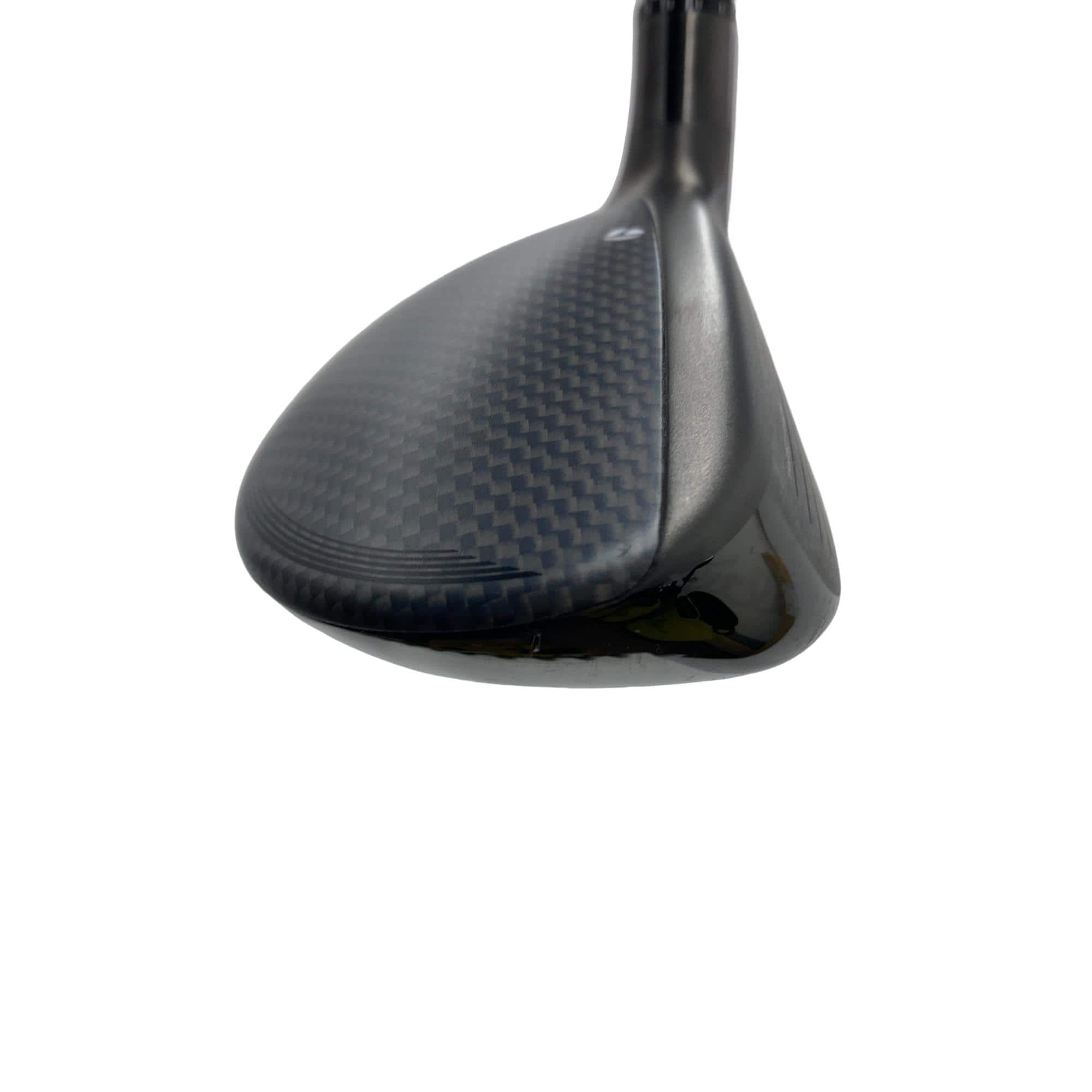 �p���R�T�@�t�T