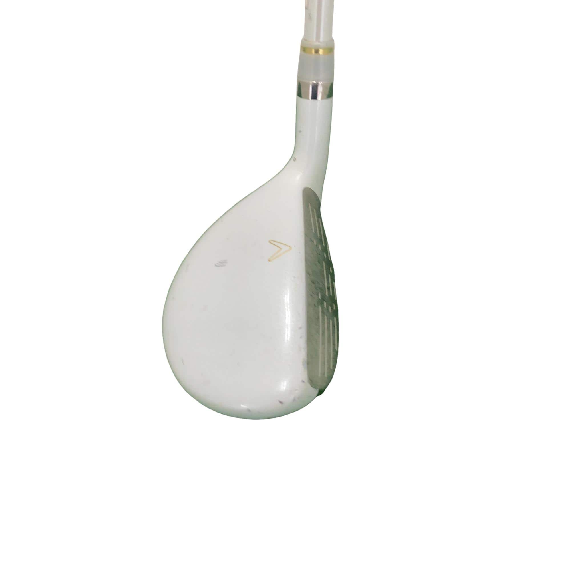 �����������i�Q�O�P�T�j�@�U�g�@���f�B�[�X