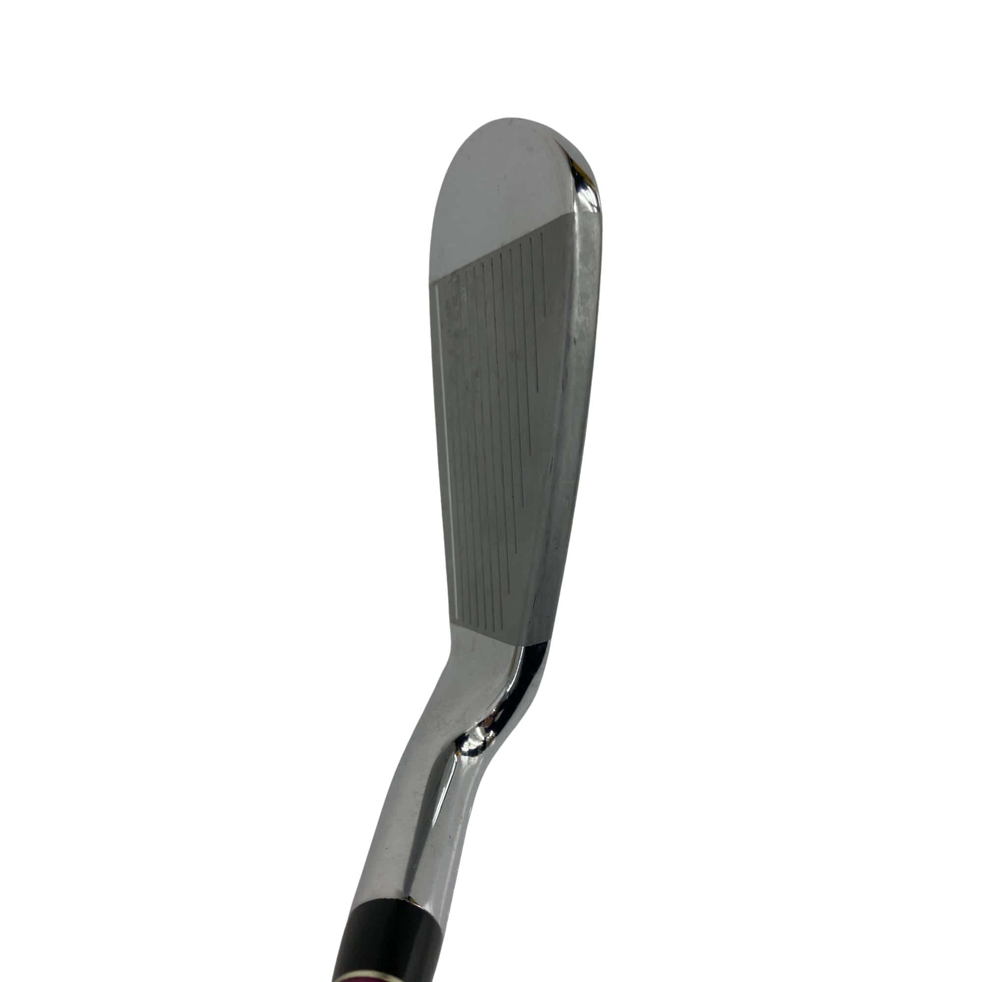 �o�g�x�y�i�Q�O�P�R�j�@�b�k�@�T�r�@���f�B�[�X�i���{���F�T�{�Z�b�g�j