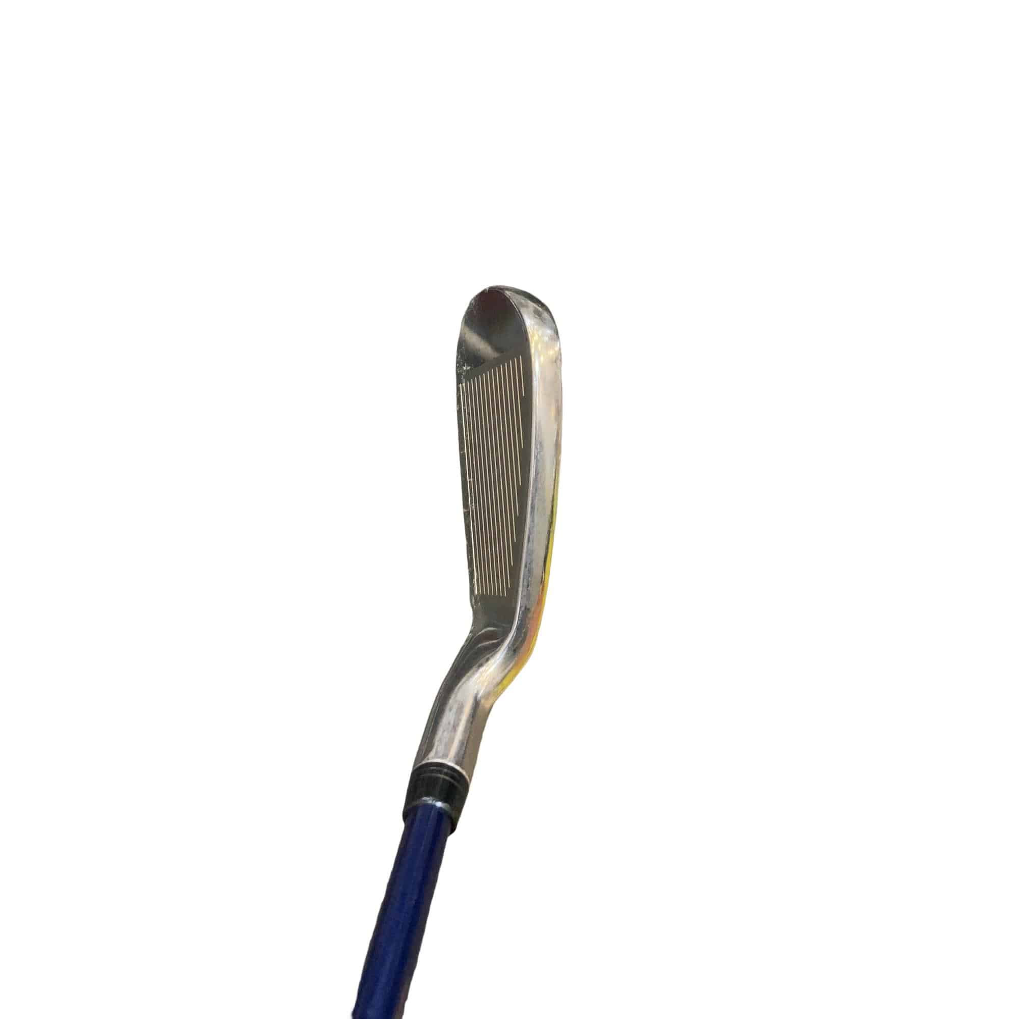 �w�w�h�n�i�Q�O�P�U�j�@�T�r�@���f�B�[�X�i���{���F�S�{�Z�b�g�j