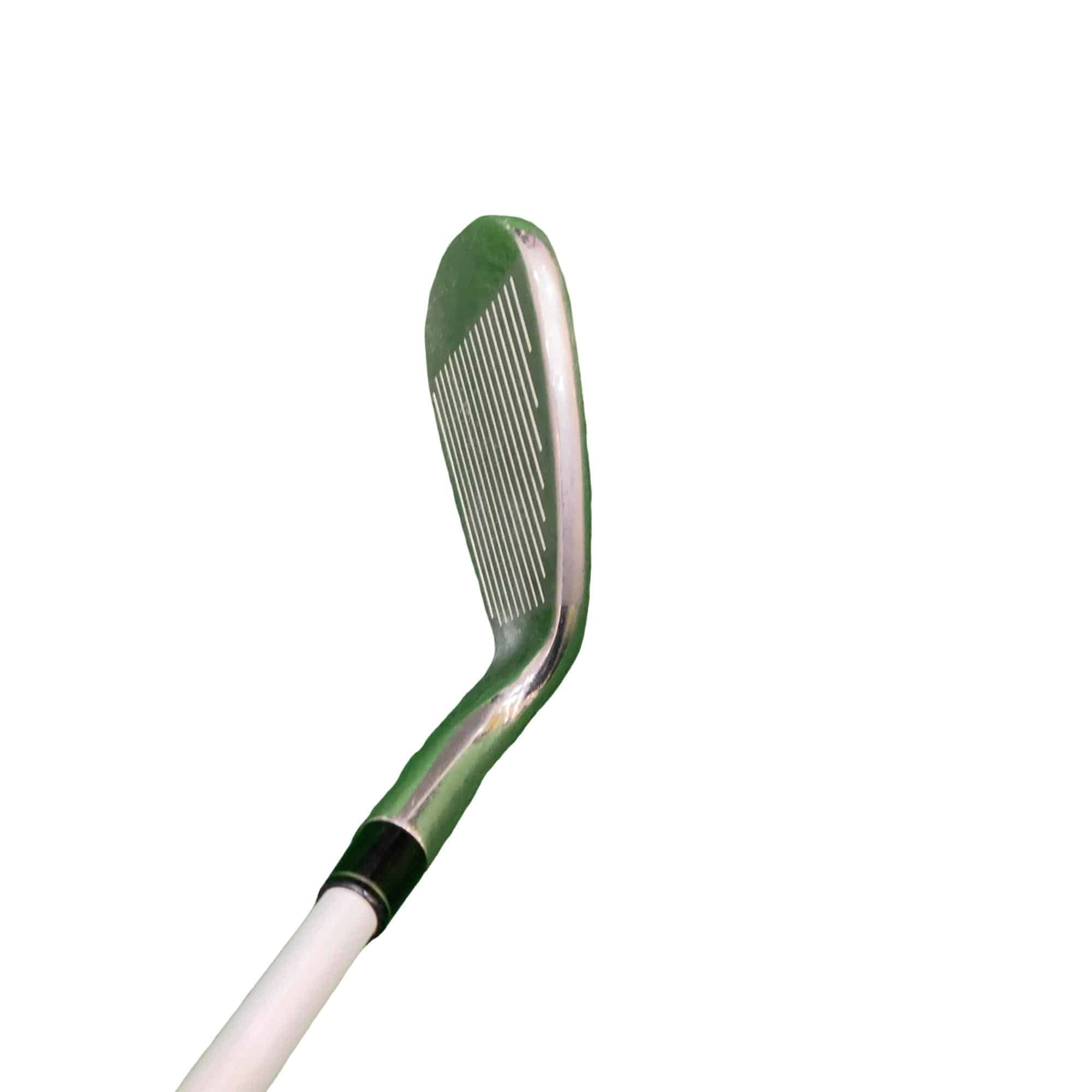 �r�h�l�@�l�`�w�@�@�T�r�@���f�B�[�X�i���{���F�T�{�Z�b�g�j