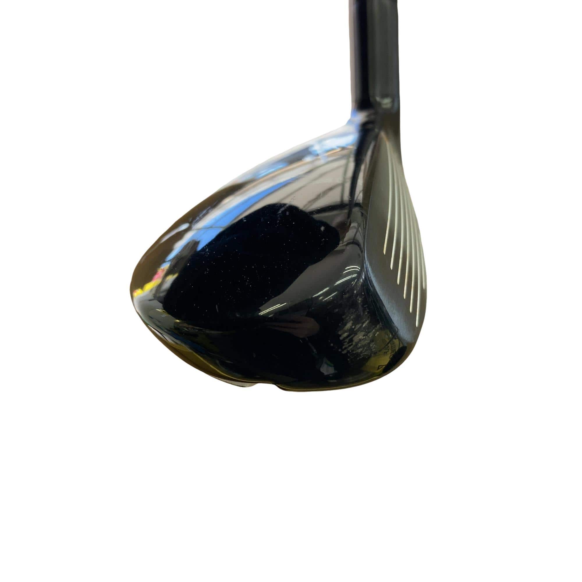 �w�Q�@�g�n�s�@�t�R