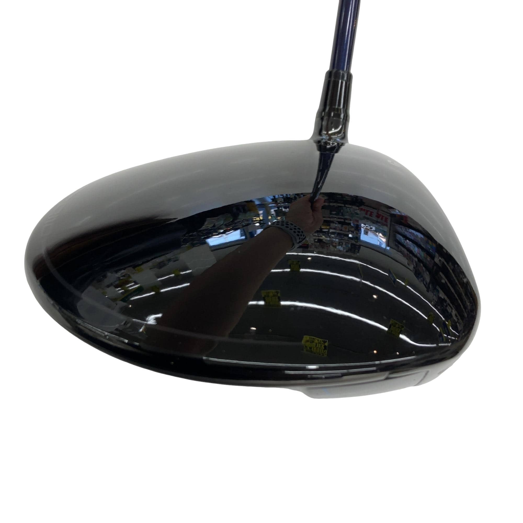 �p���P�O�@�l�`�w�@�P�O�D�T°