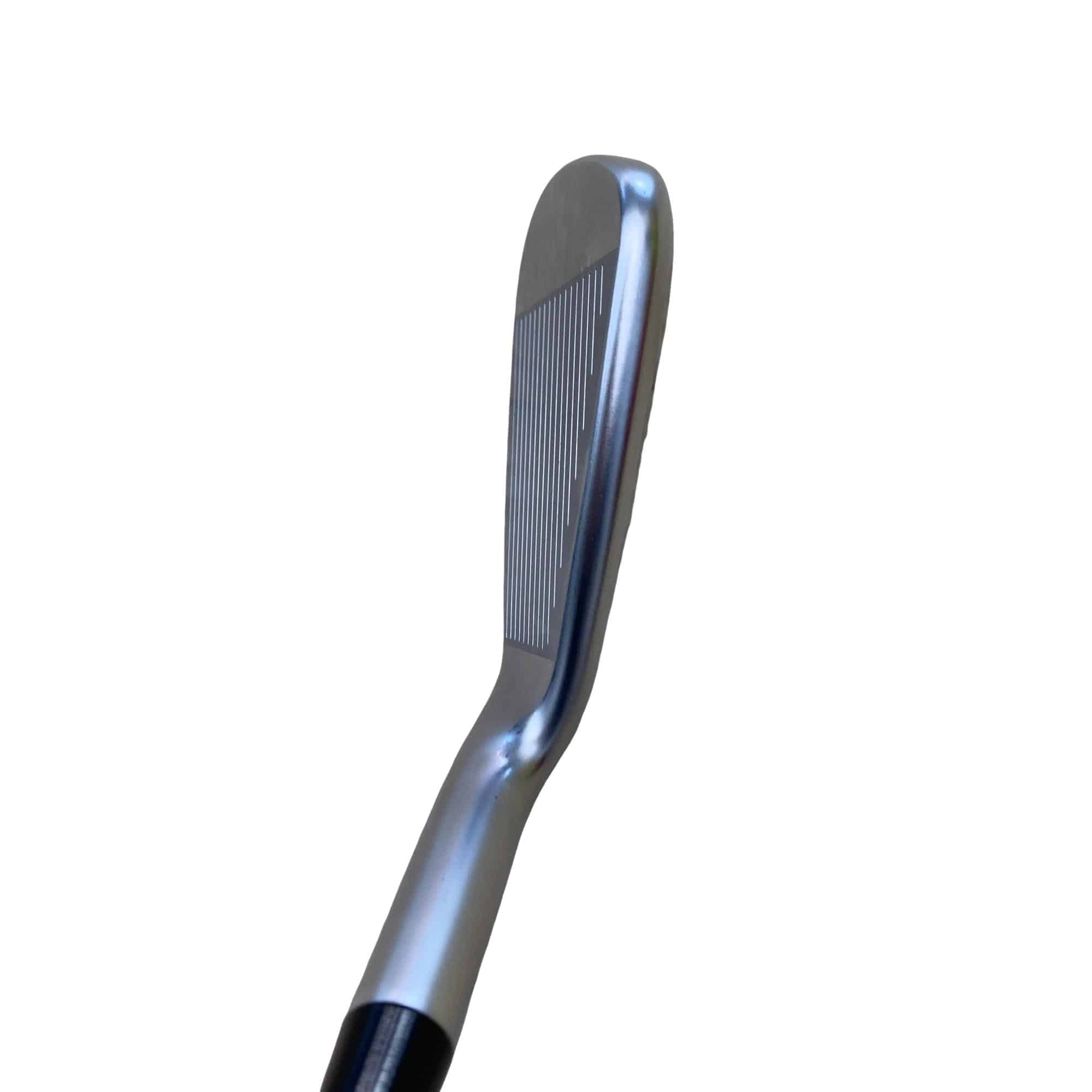 ���T�R�O�@�T�r�i���{���F�T�{�Z�b�g�j