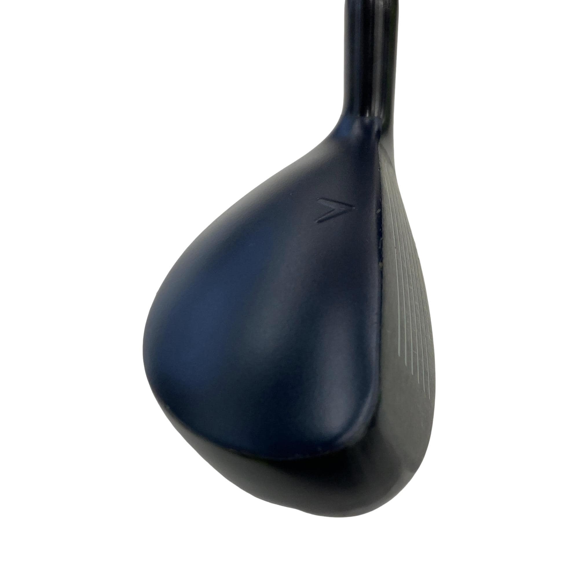 �w�q�@�t�T�@���f�B�[�X