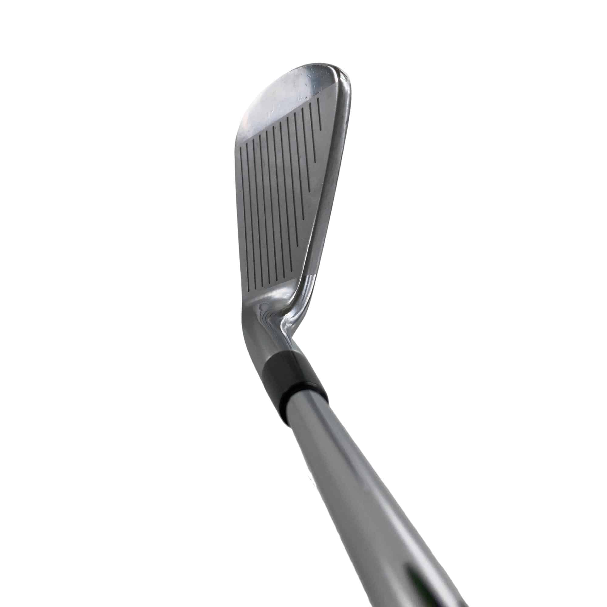 �l�����������@�o�����@�V�P�X�@�U�r�i���{���F�U�{�Z�b�g�j