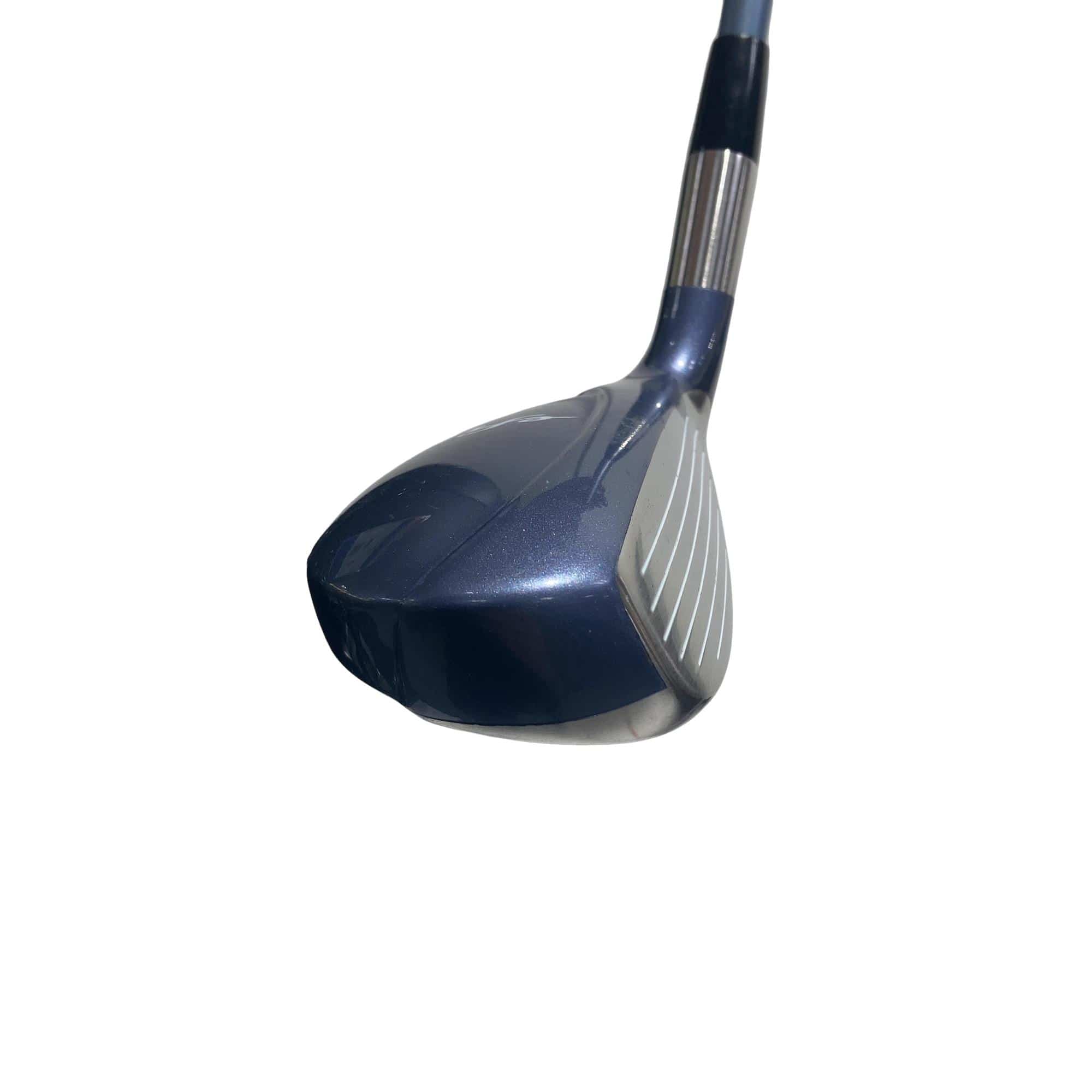 ���������i�Q�O�O�U�j�@�T�t�@���f�B�[�X