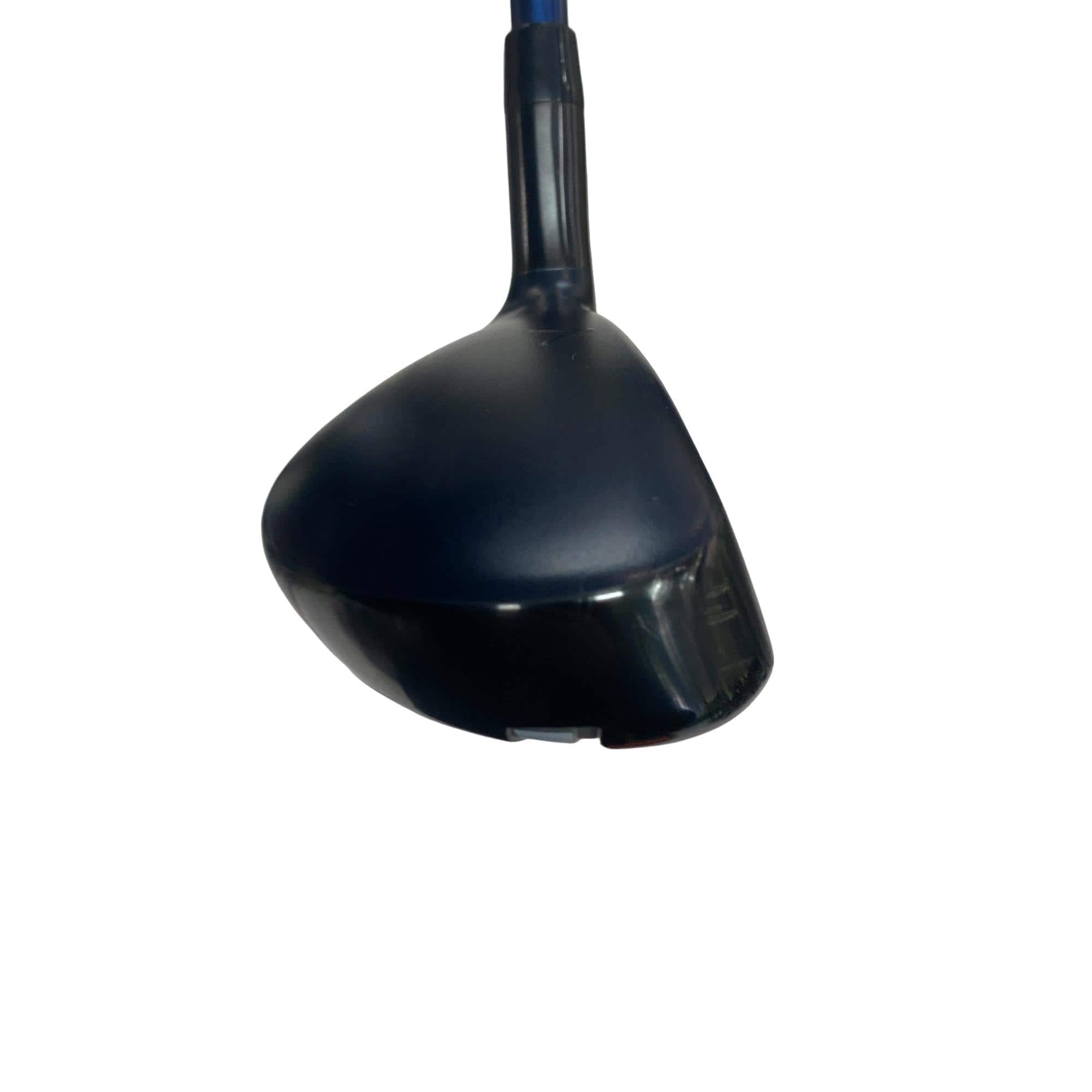 �w�q�@�t�T