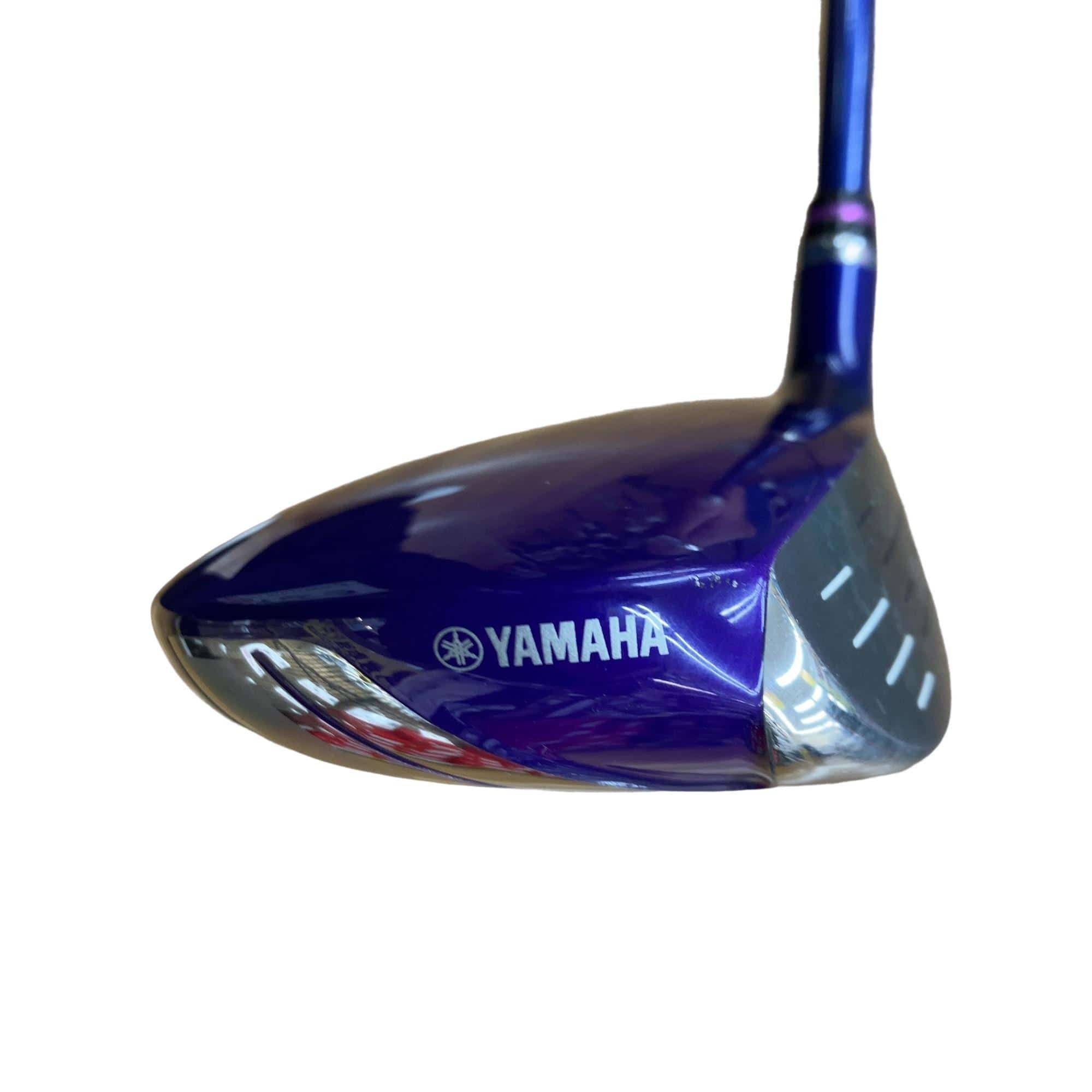 �e�����������i�Q�O�P�T�j�@�S�v�@���f�B�[�X