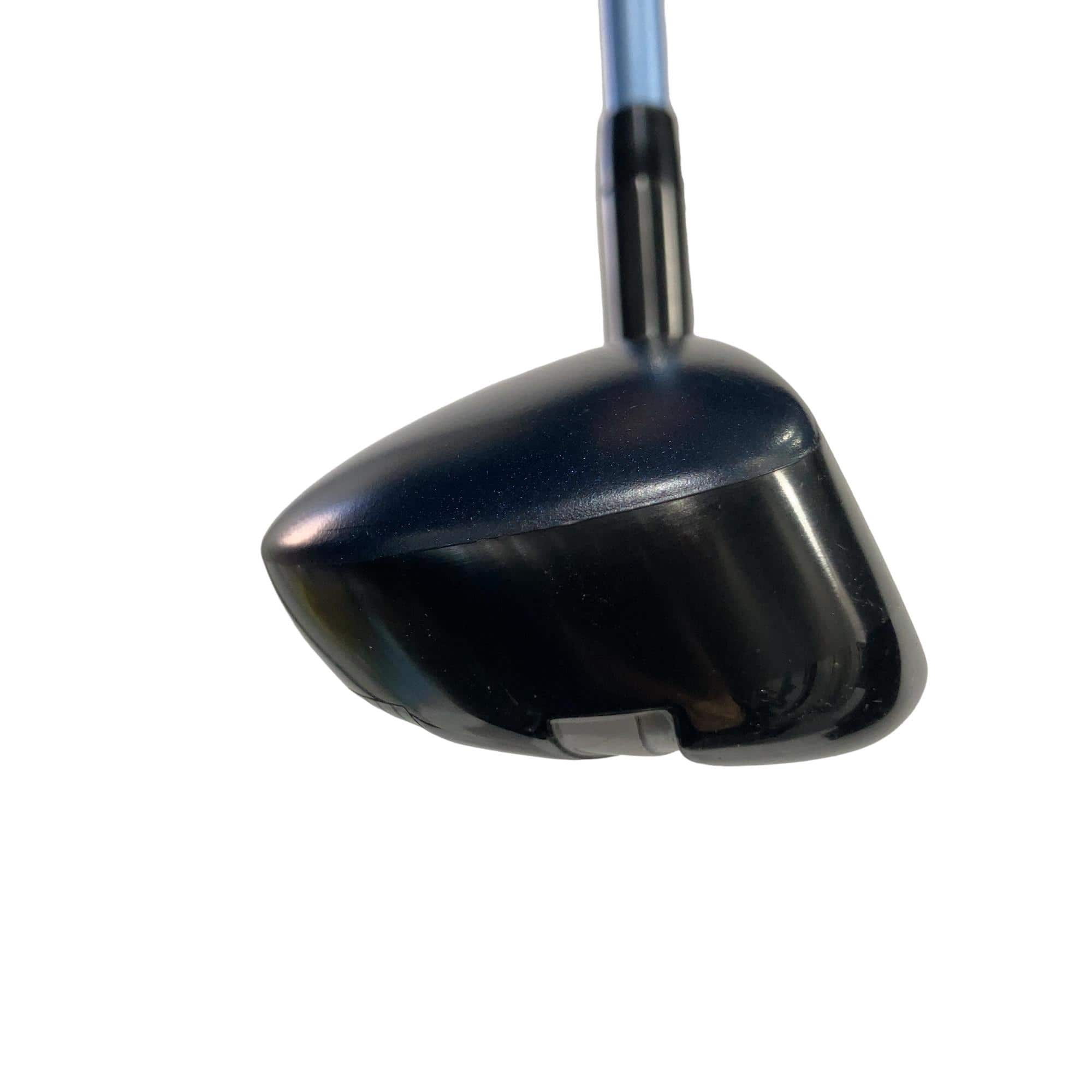 �w�q�@�t�U�@���f�B�[�X