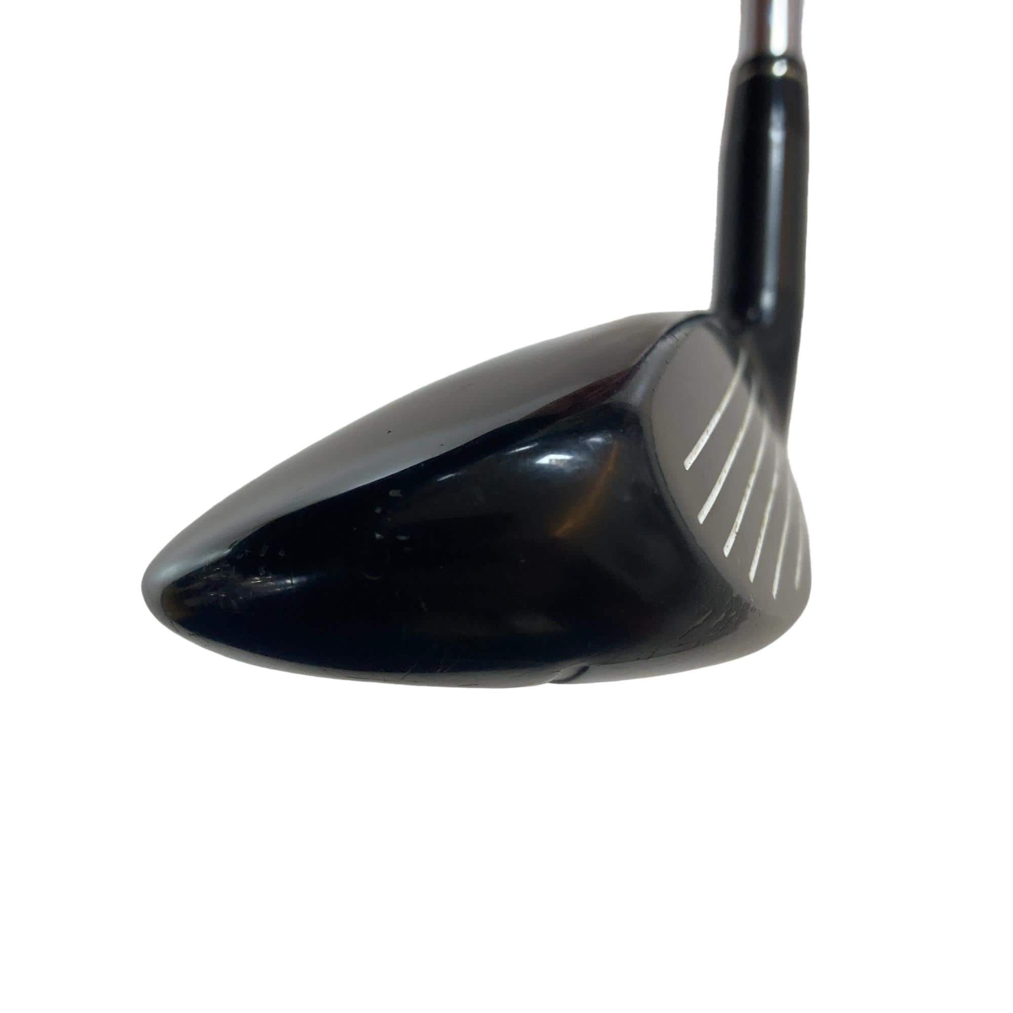 �w�@�g�n�s�@�t�S