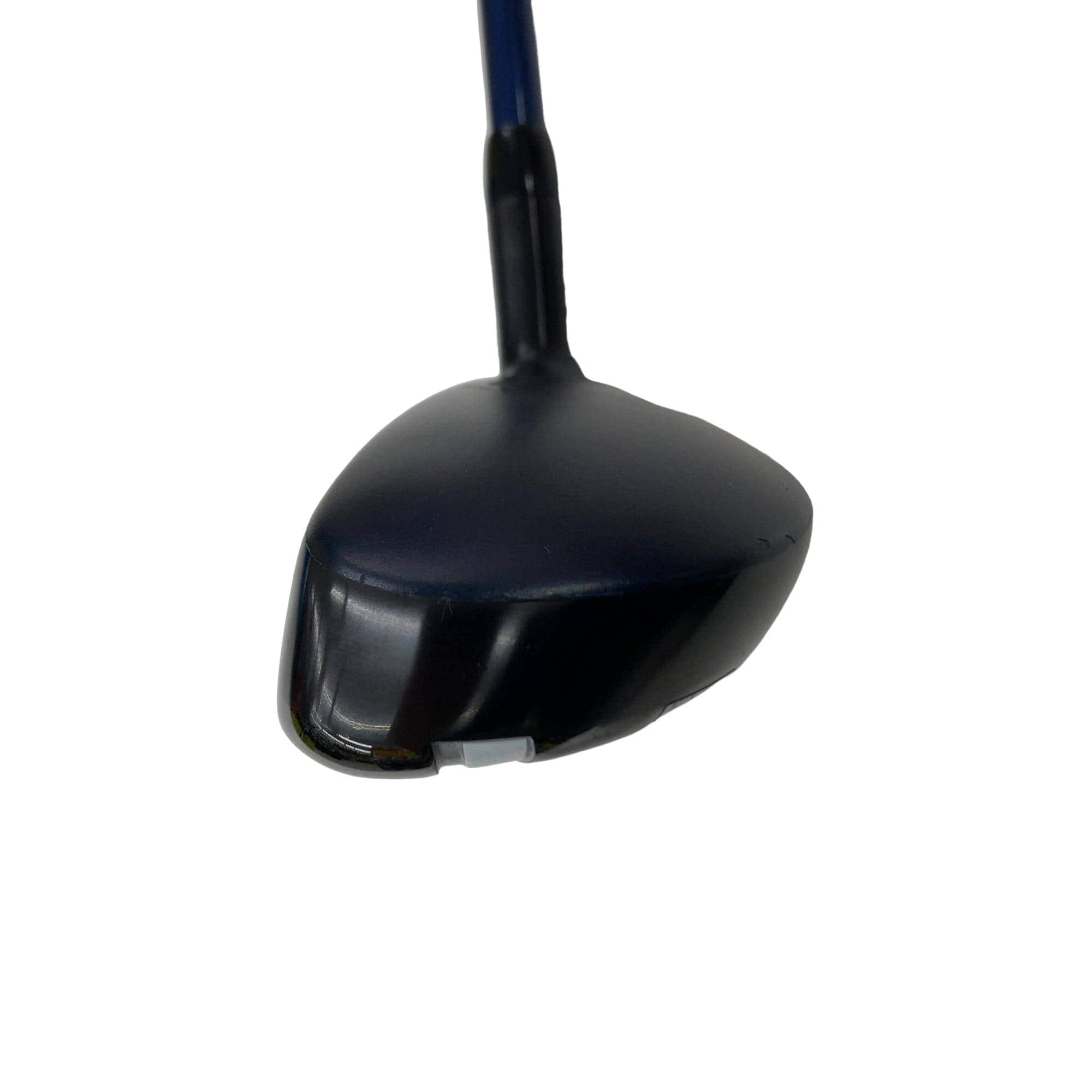 �w�q�@�t�T�@���t�e�B