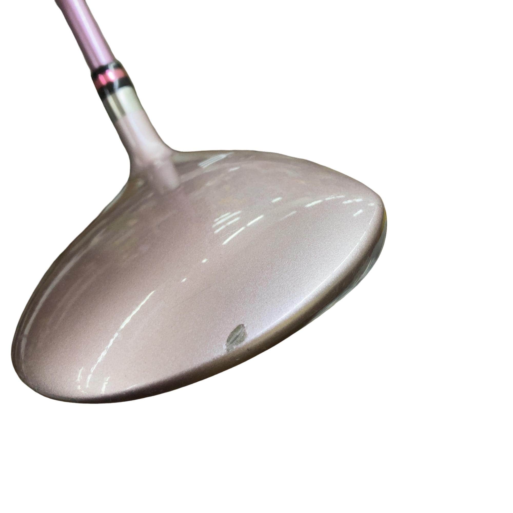 �d�t�q�t�r�@�T�v�@���f�B�[�X