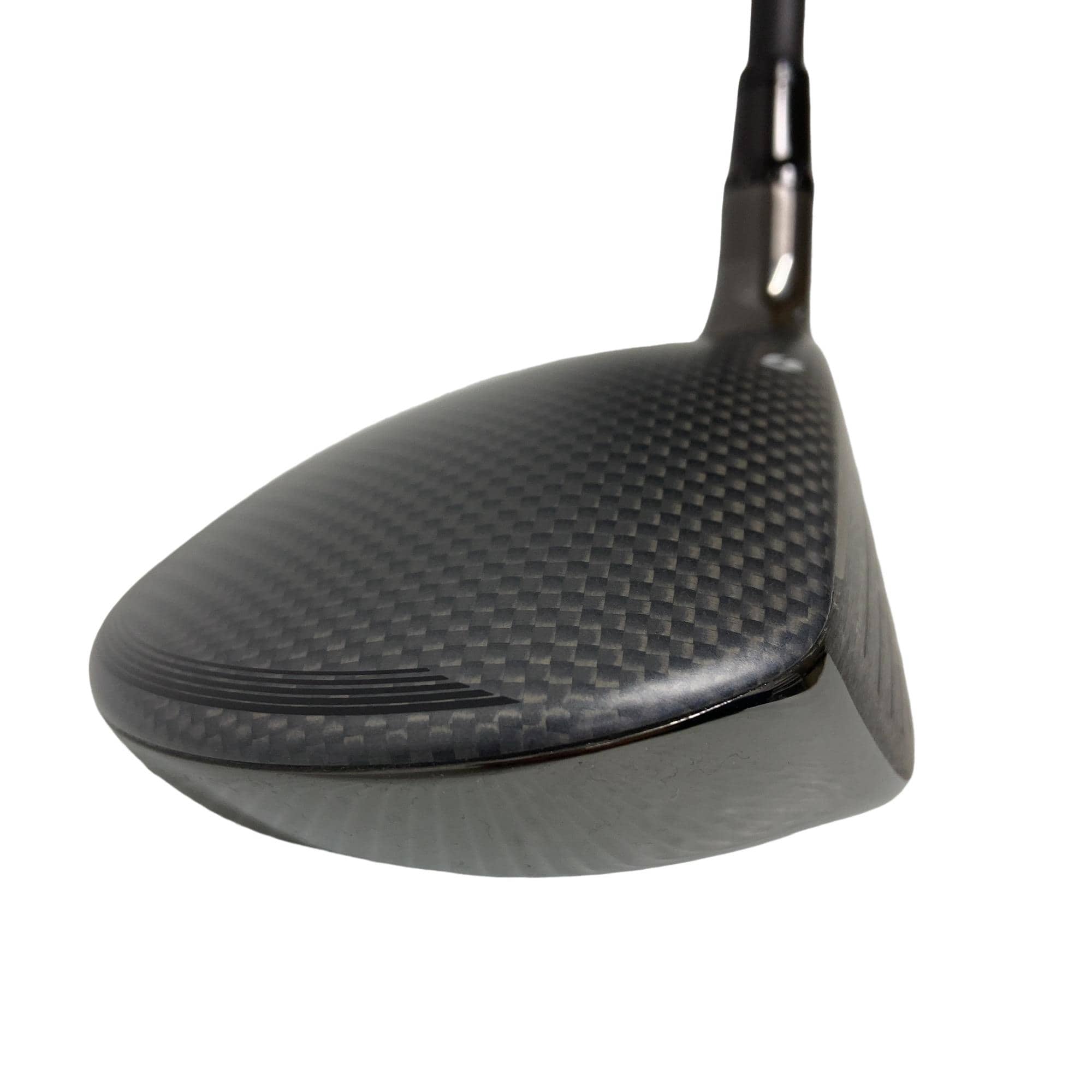 �p���R�T�@�T�v