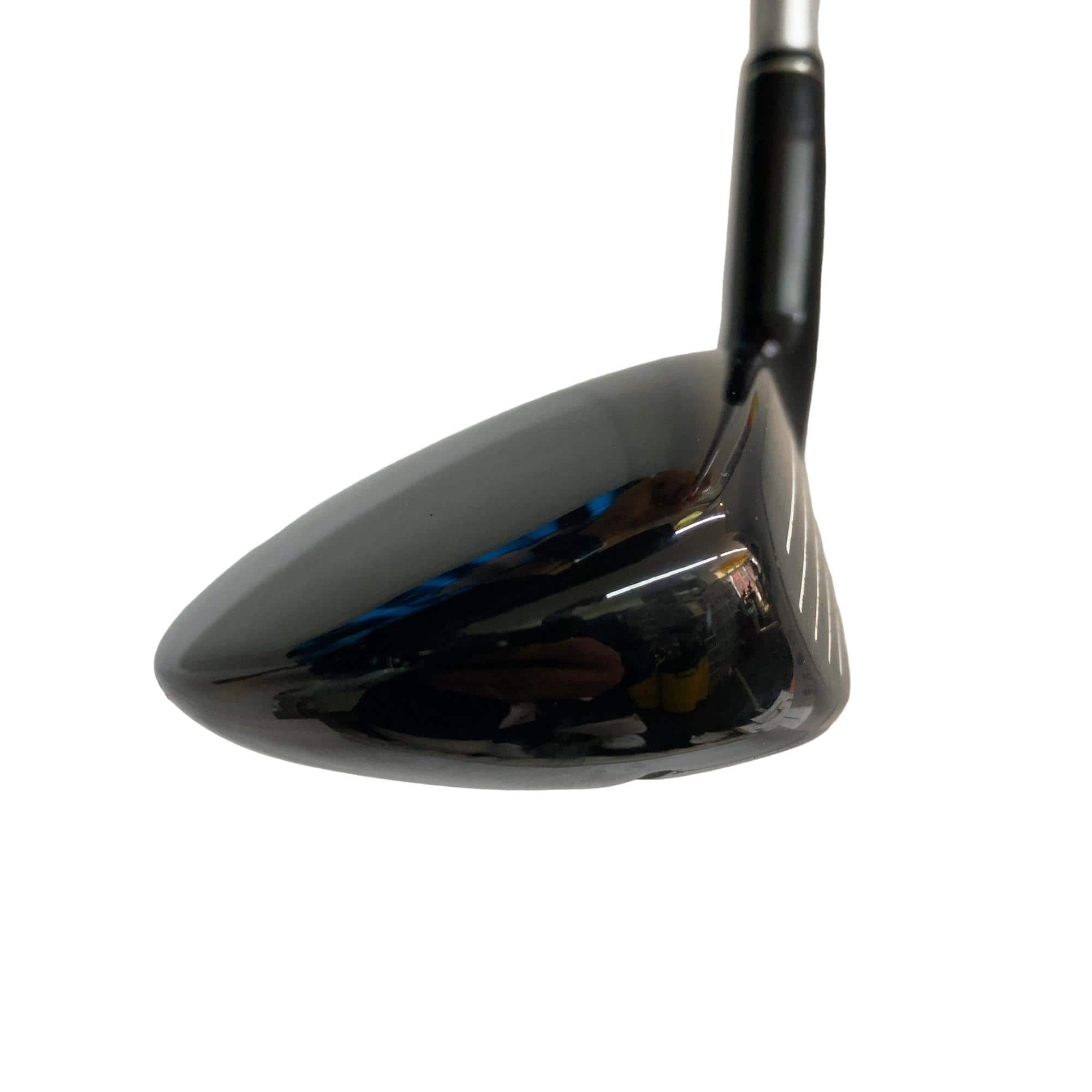 �w�@�g�n�s�@�t�R