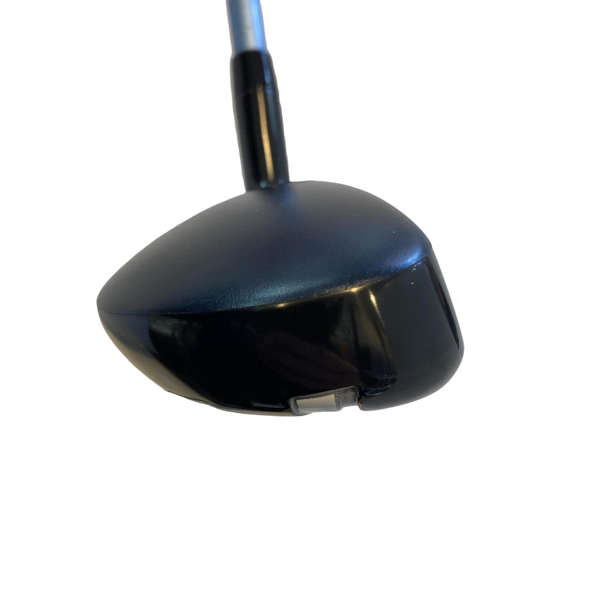 �w�q�@�t�S�@���f�B�[�X