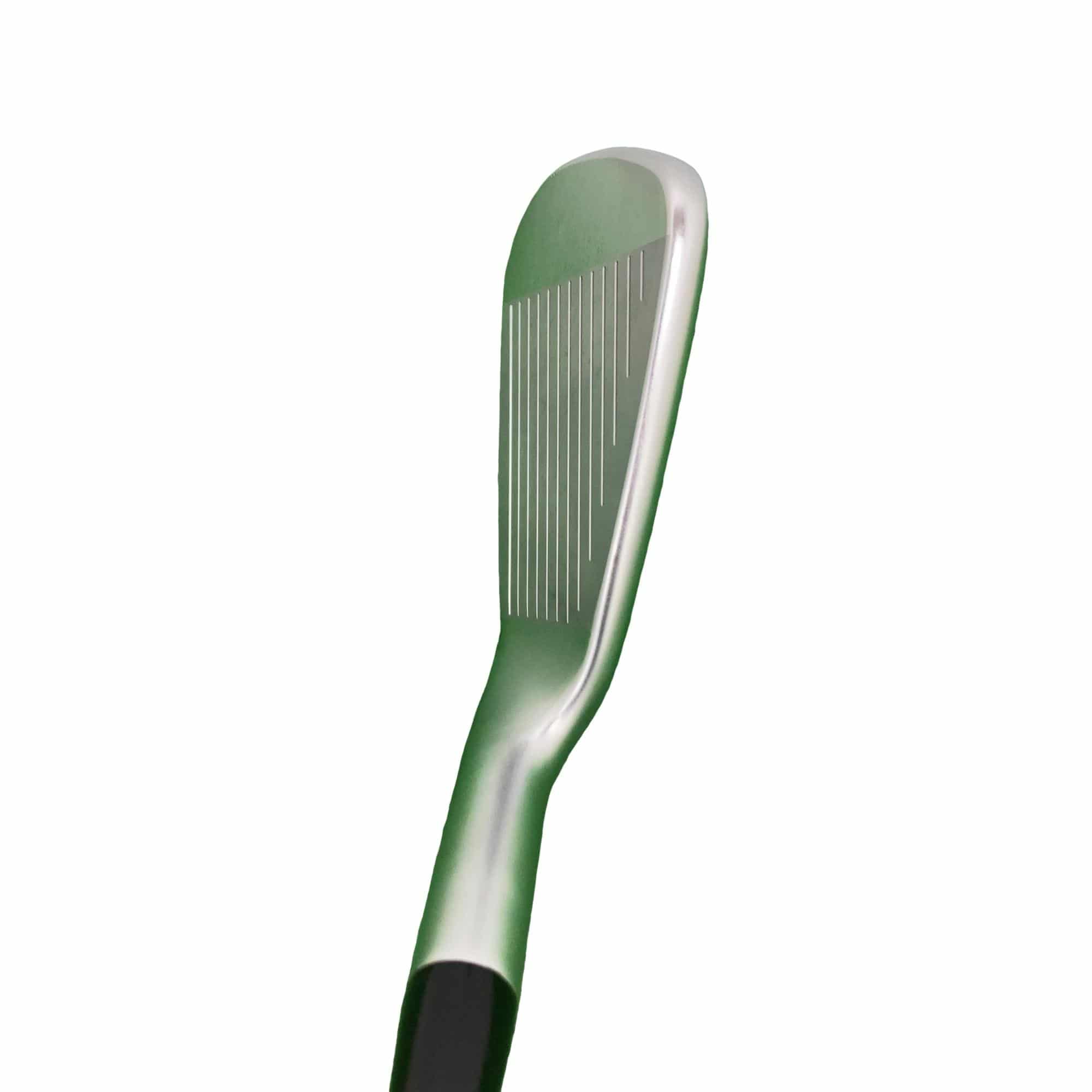 ���Q�S�O�@�V�r�i���{���F�V�{�Z�b�g�j