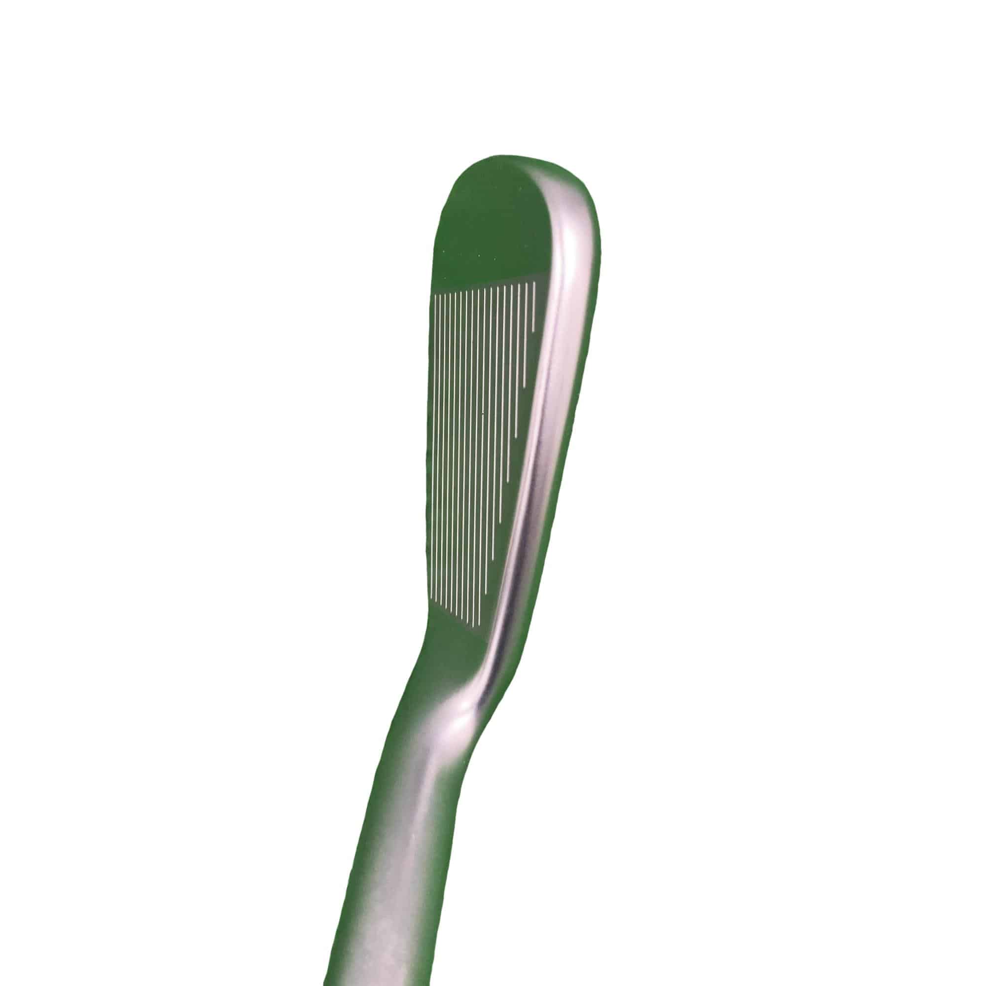 ���T�R�O�@�U�r�i���{���F�U�{�Z�b�g�j