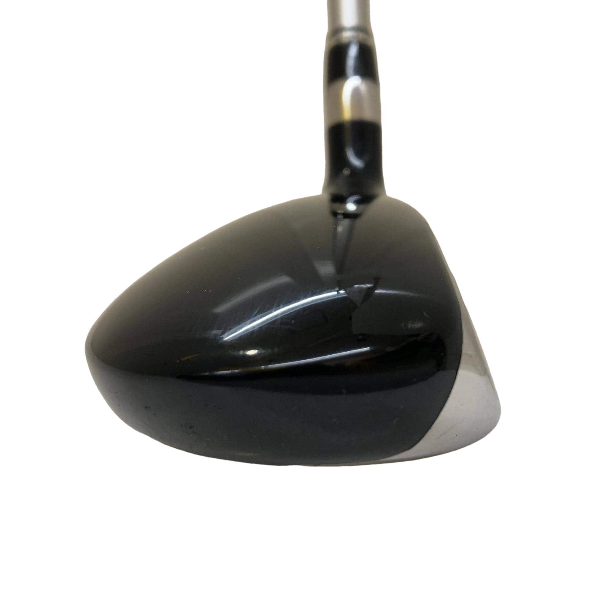 �s���|�a���@���[�e�B���e�B�@�t�S