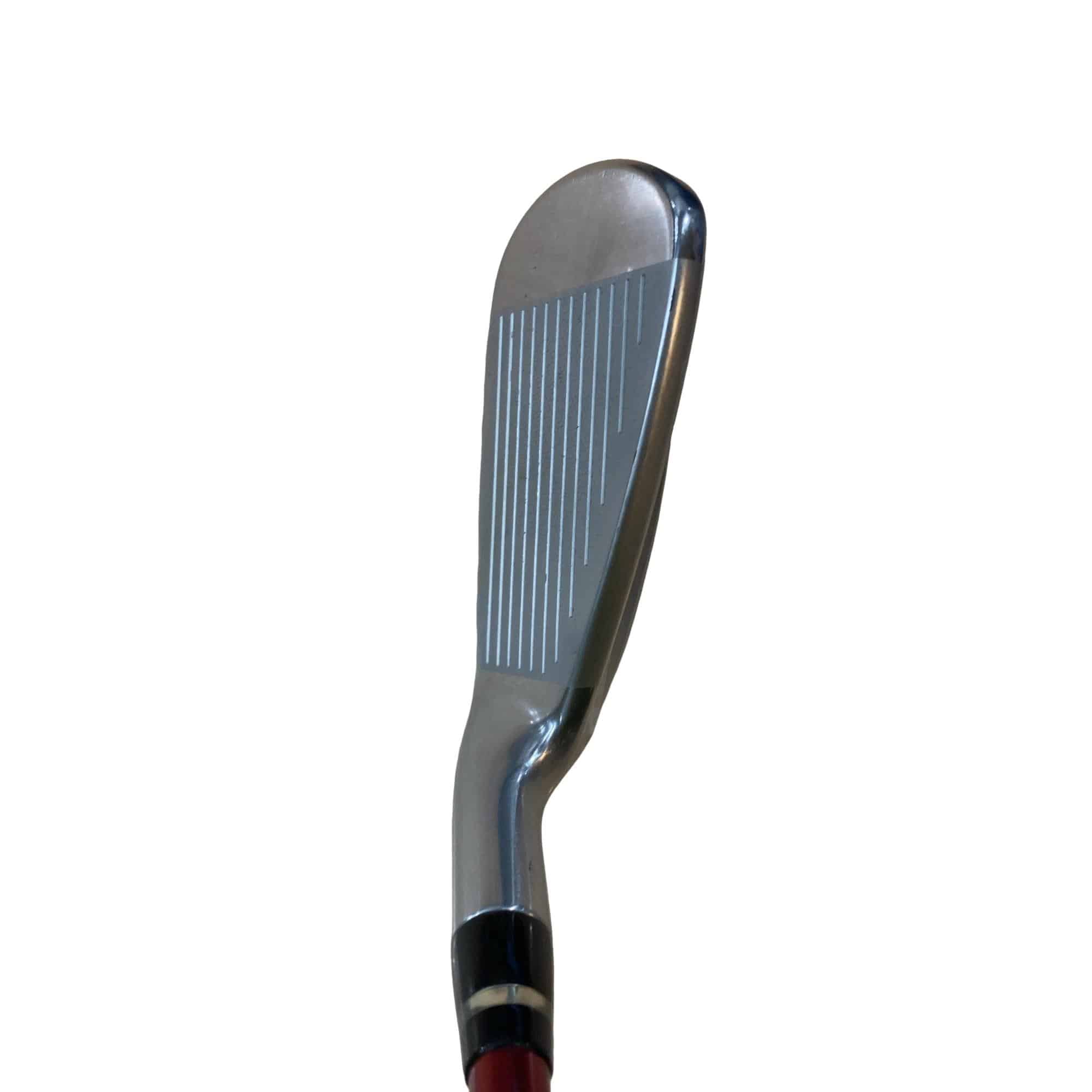 �������������@�q�l�w�@�t�c�{�Q�@�V�r�i���{���F�T�{�Z�b�g�j