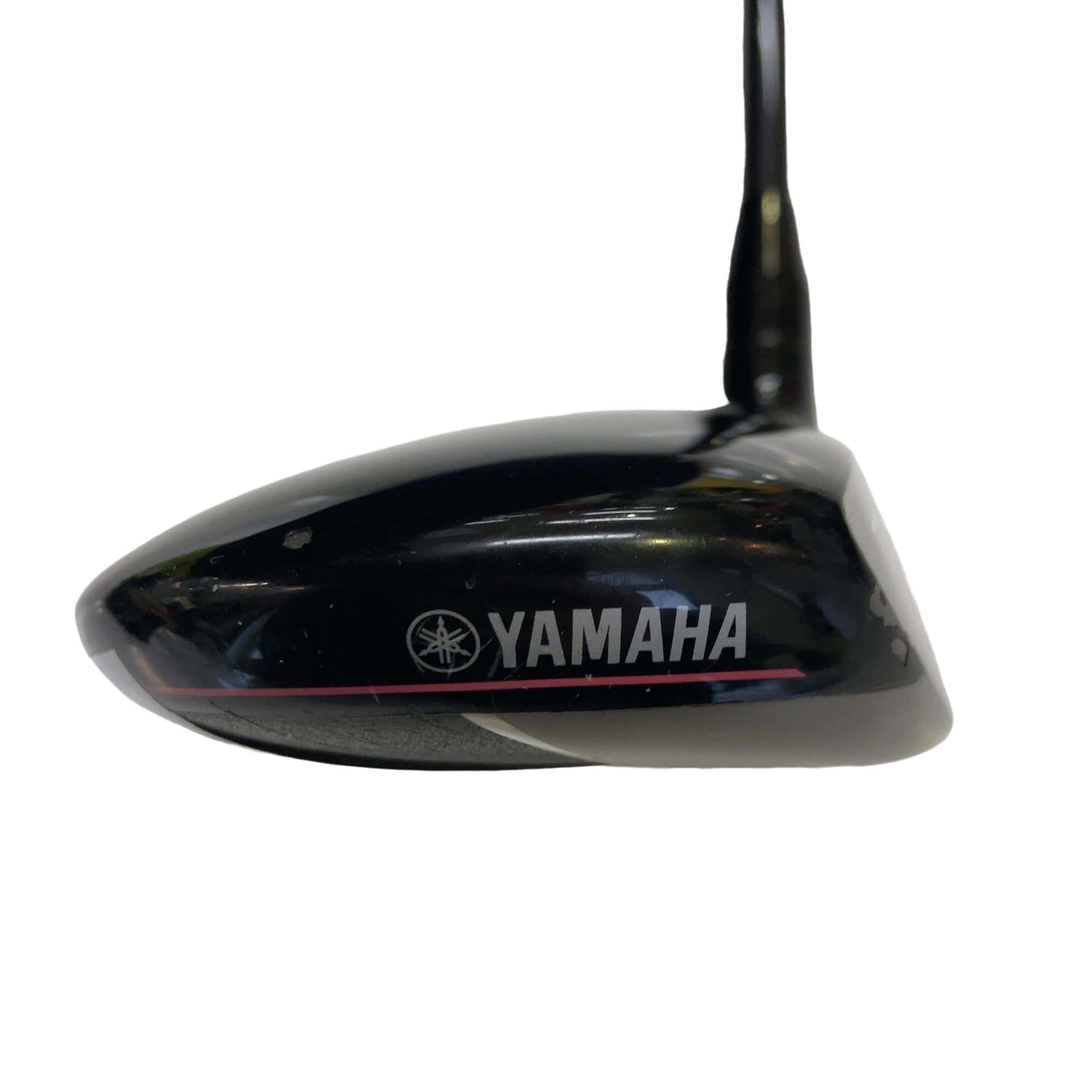 �������������@�q�l�w�@�T�v�@���f�B�[�X